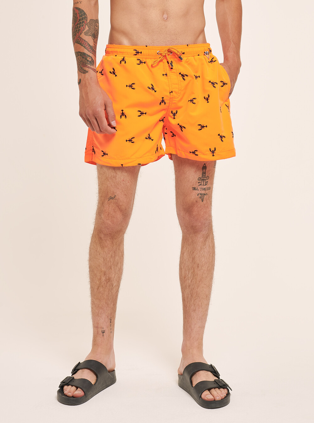 ic_fluent_arrow_enter_24_filled - Main Image