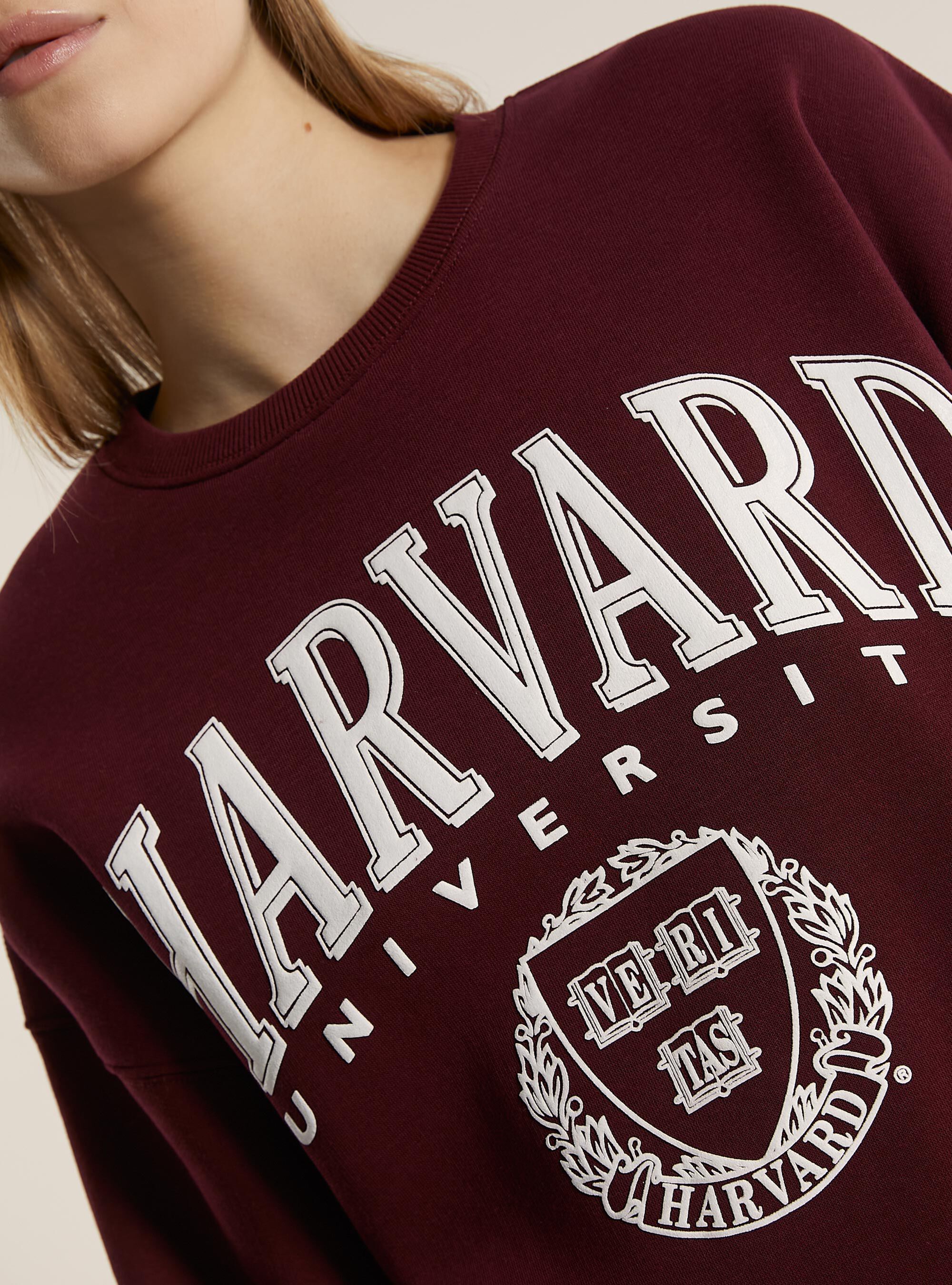 Harvard sweater shop