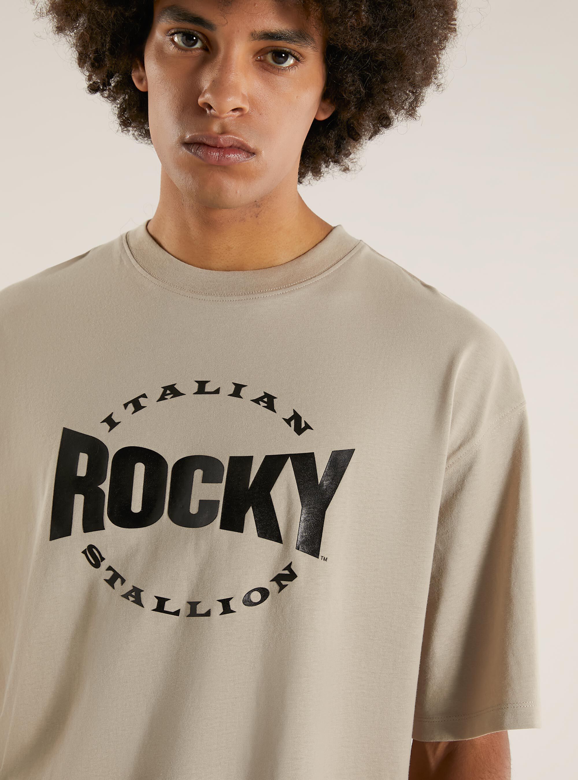 Rocky Balboa / Alcott boxy fit t-shirt, BG2 BEIGE MEDIUM