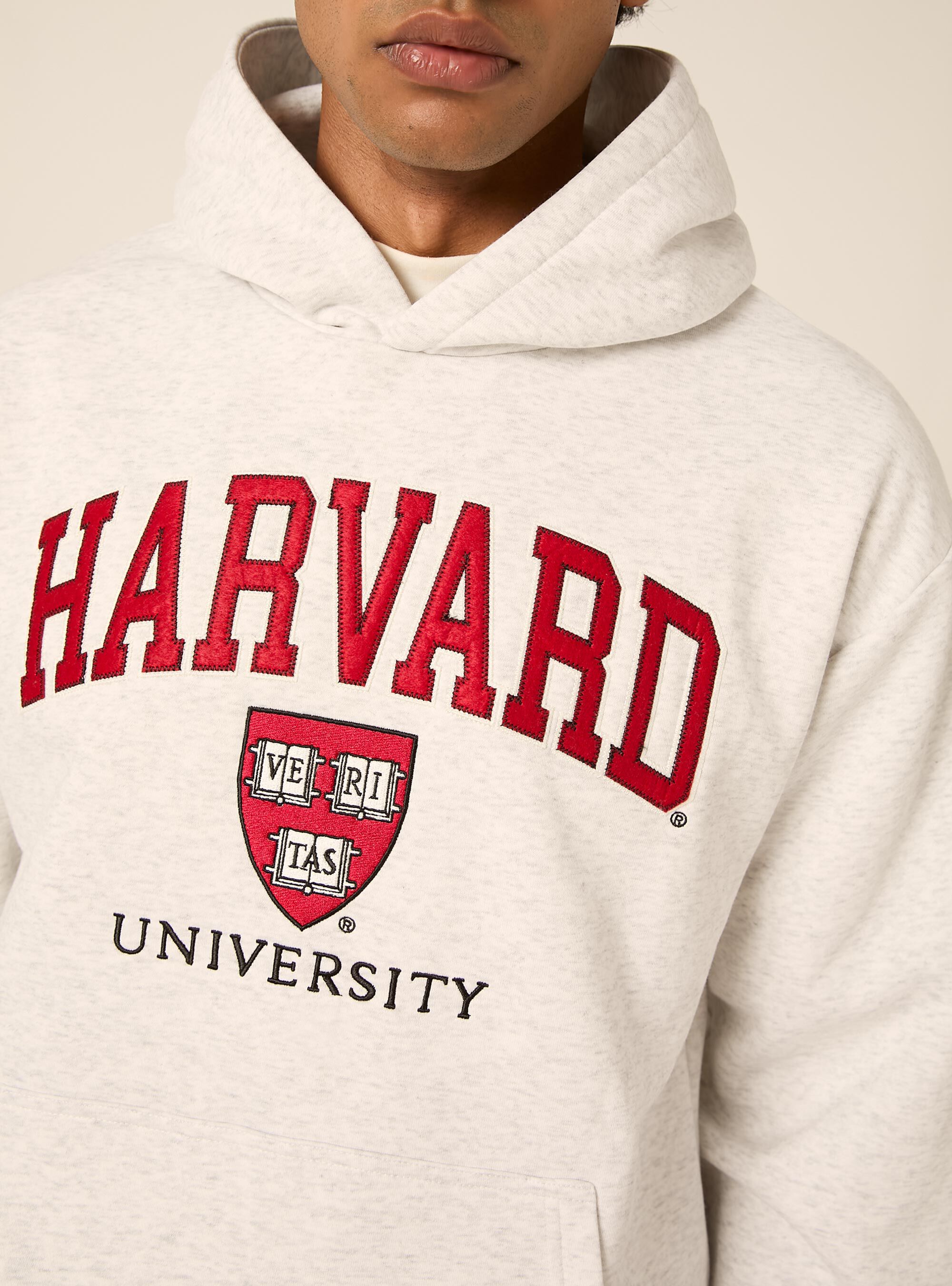 Felpa con cappuccio boxy licenza harvard, MGY3 GREY MEL LIGHT