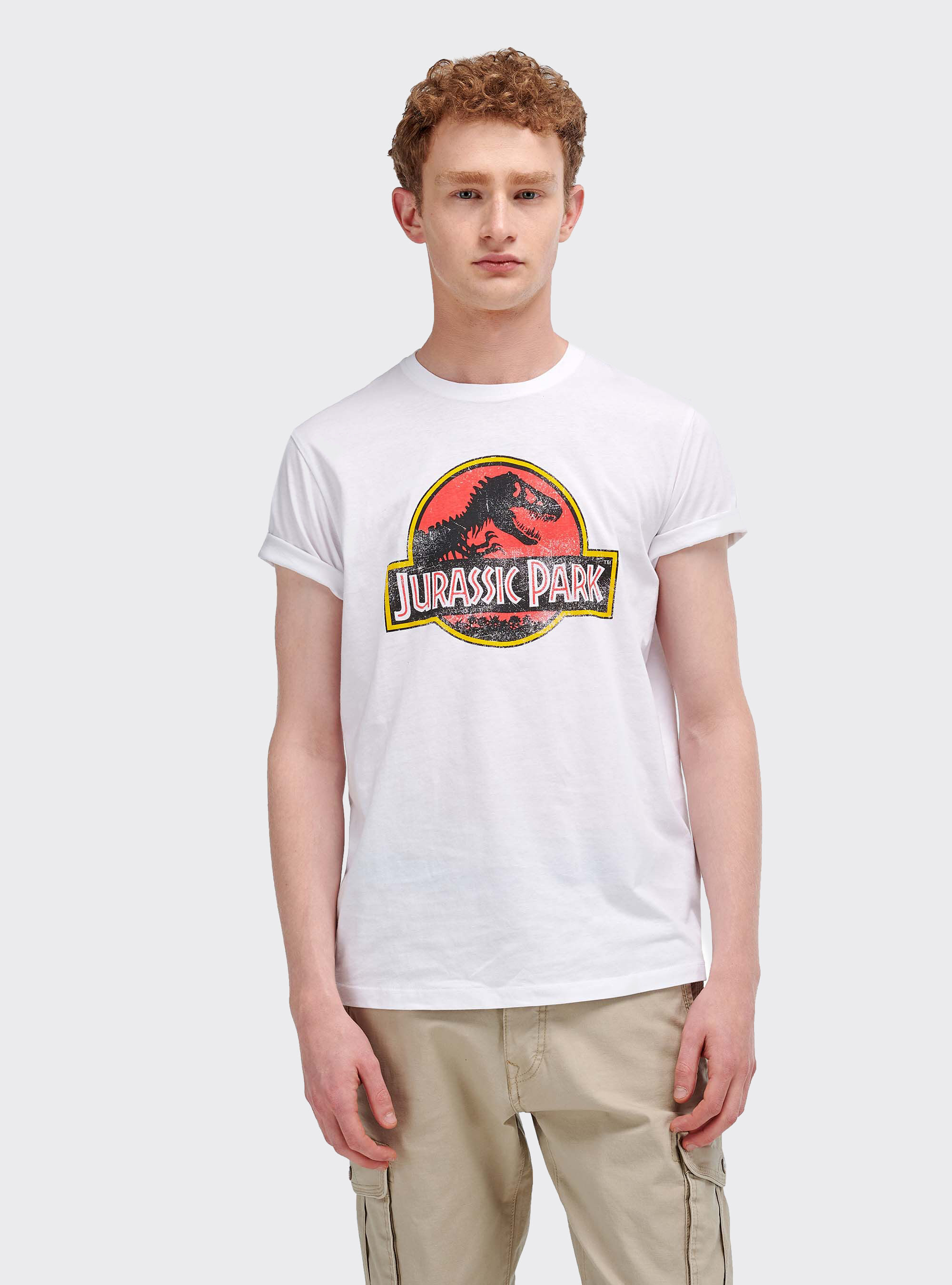 T shirt Jurassic Park