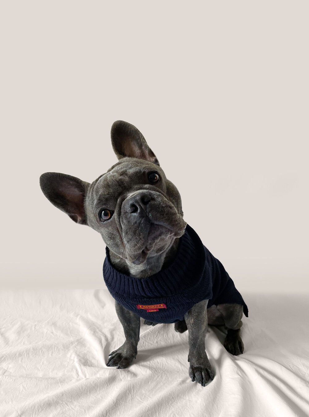 Jersey De Navidad Para Perros Con El Hombre De Jengibre Jersey De Navidad Para Perros Con El Hombre De Jengibre