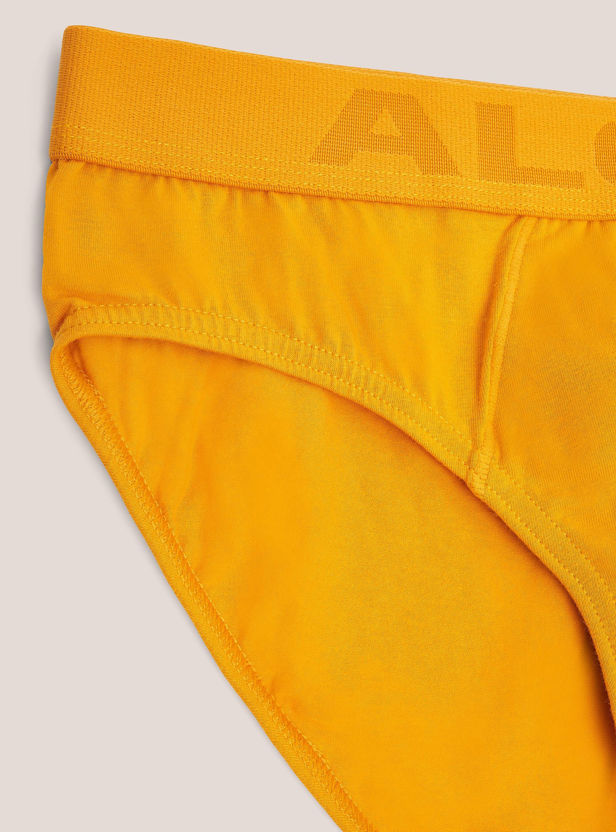 Slip en coton &eacute;lastique avec logo, C7751 SENAPE