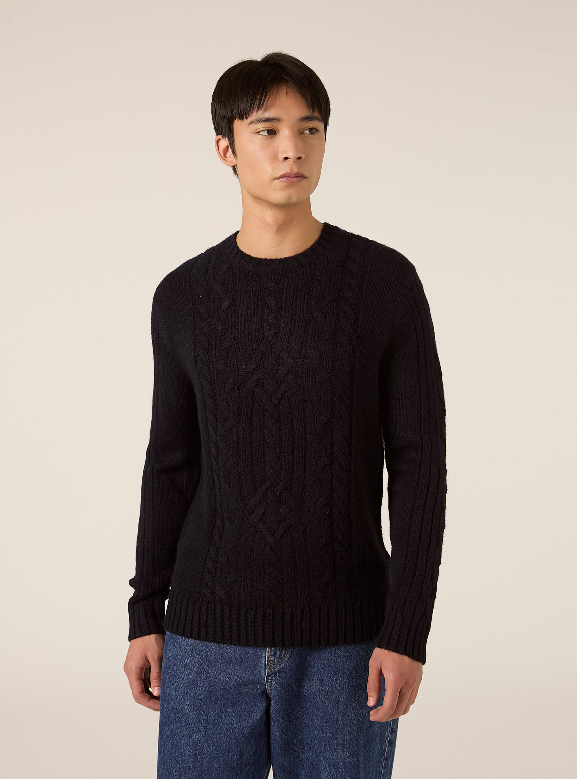 Crew neck jumper with cable knit, NA2 NAVY MEDIUM