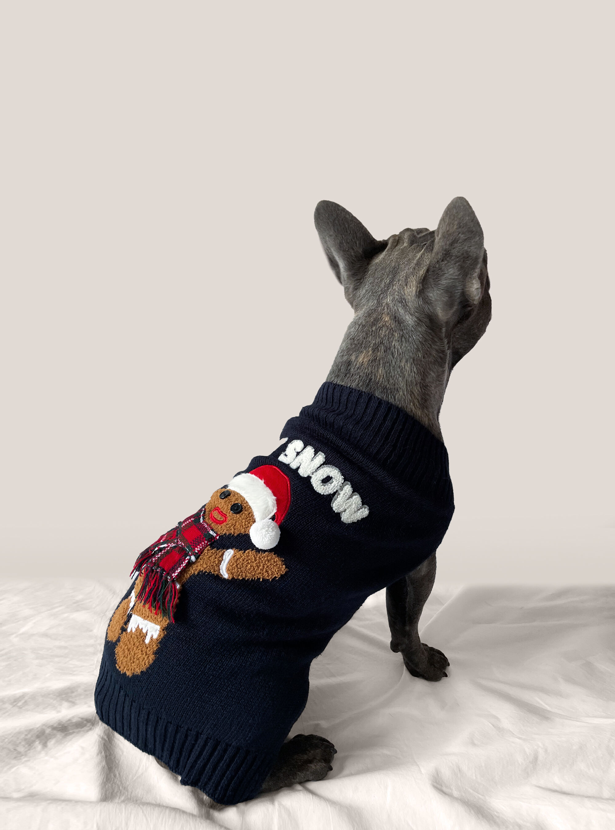 Pull pour chien discount noel