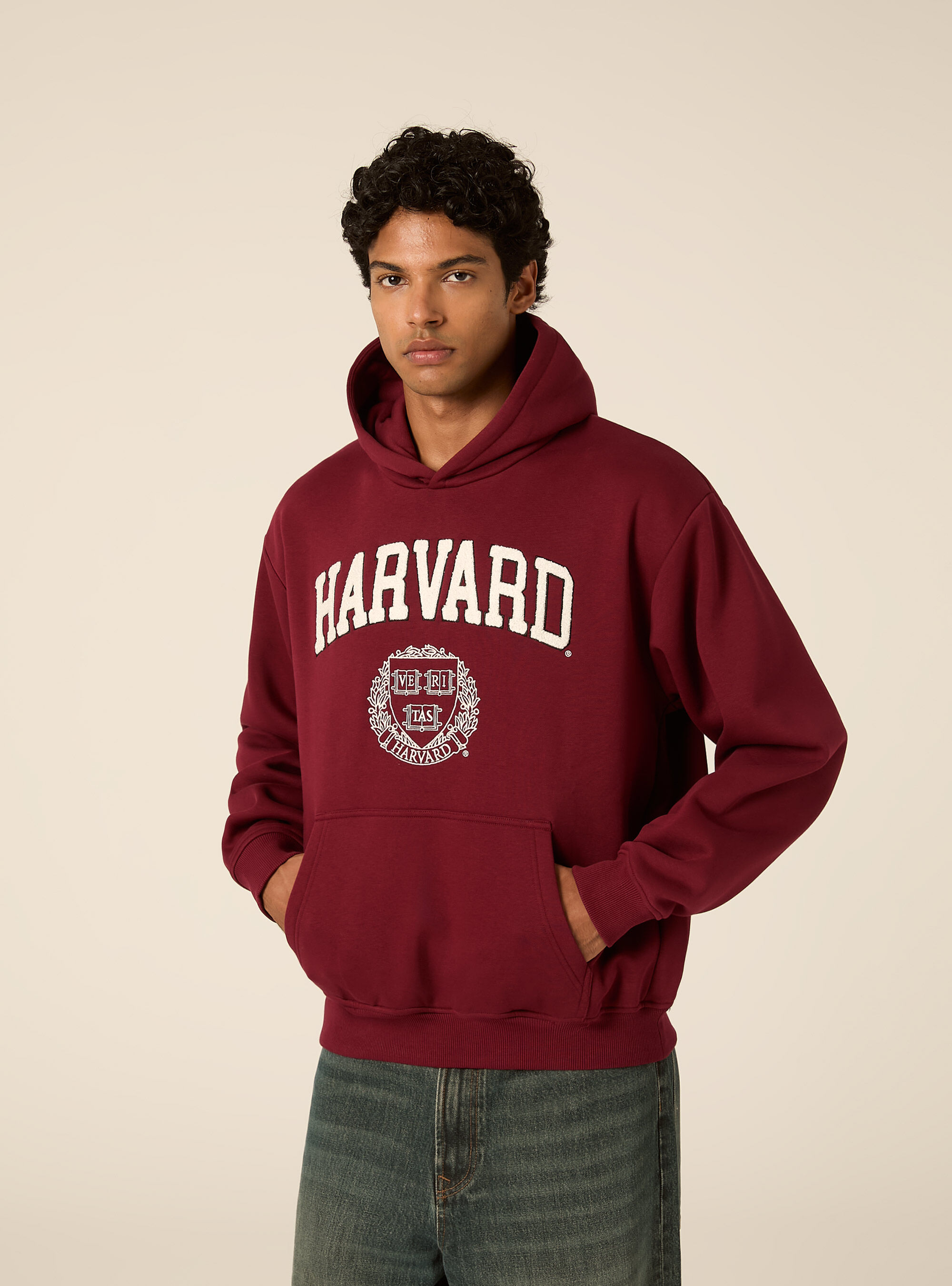 Felpa con cappuccio boxy licenza harvard