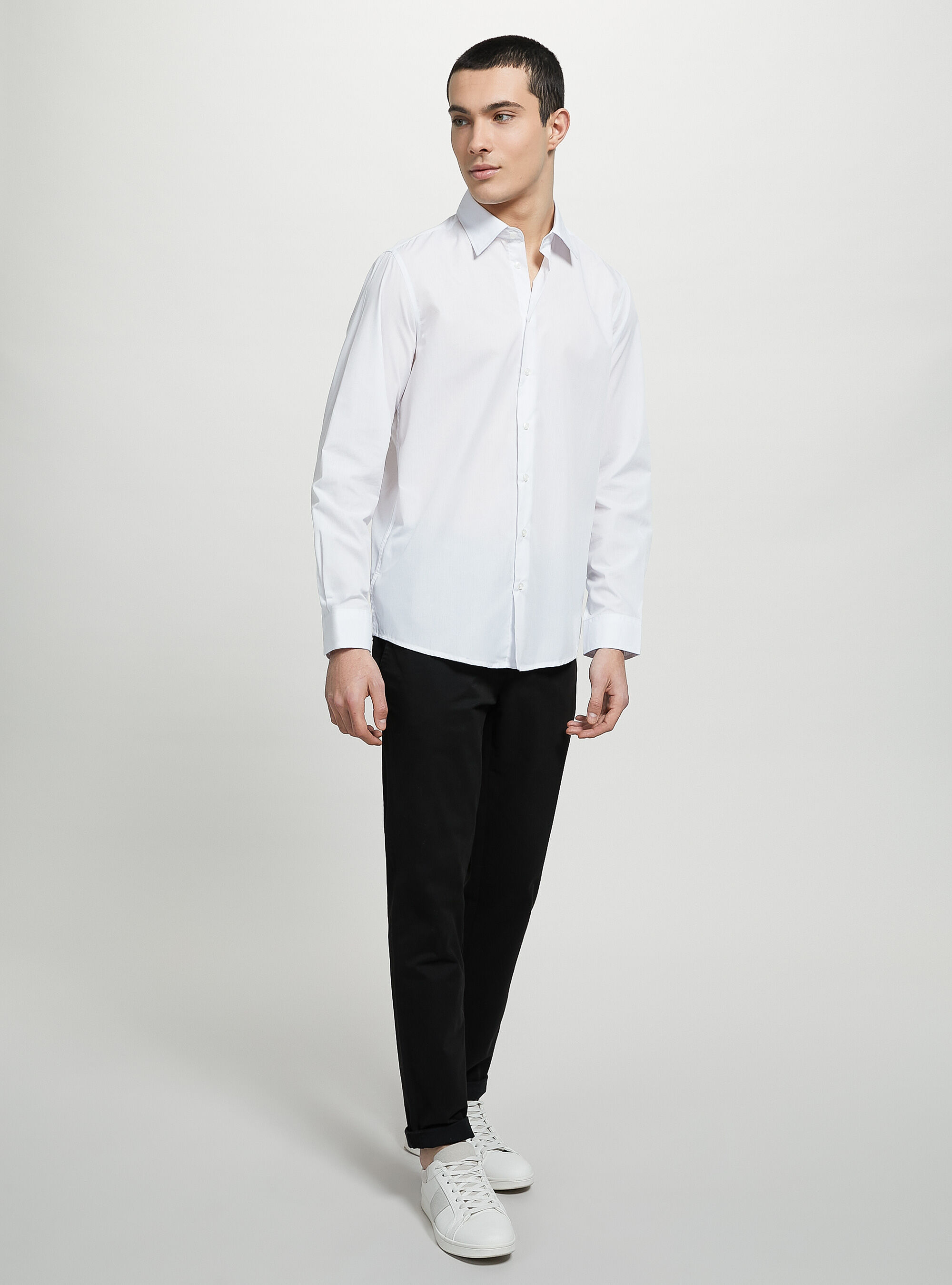 Camicie uomo alcott sale
