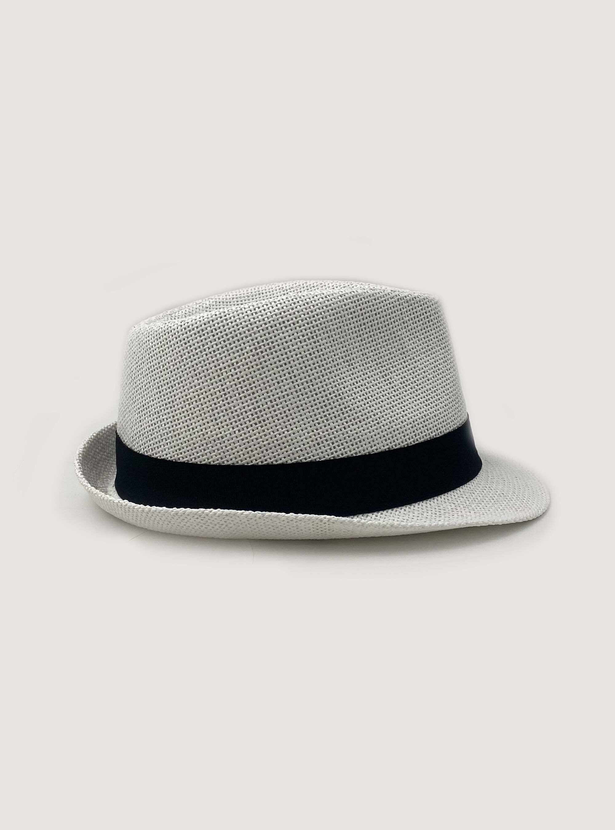 Raffia effect hat, WH3 WHITE