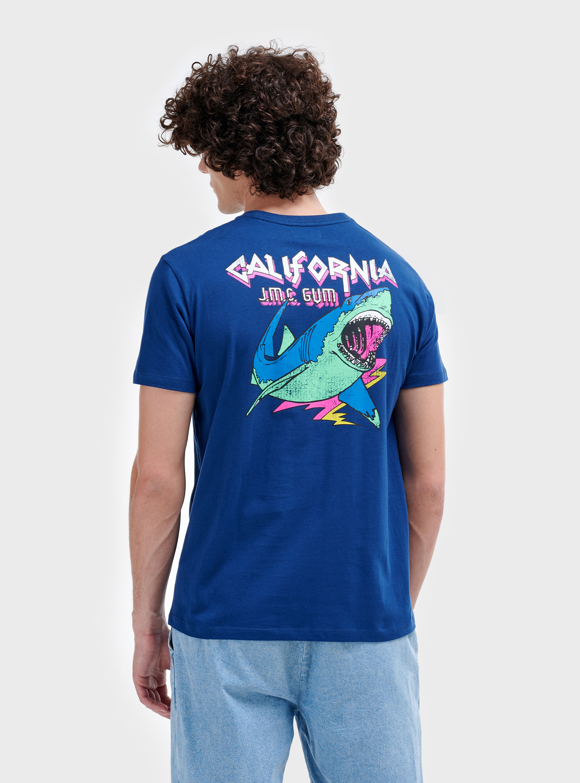 Printed t-shirt, C0214 BLUE