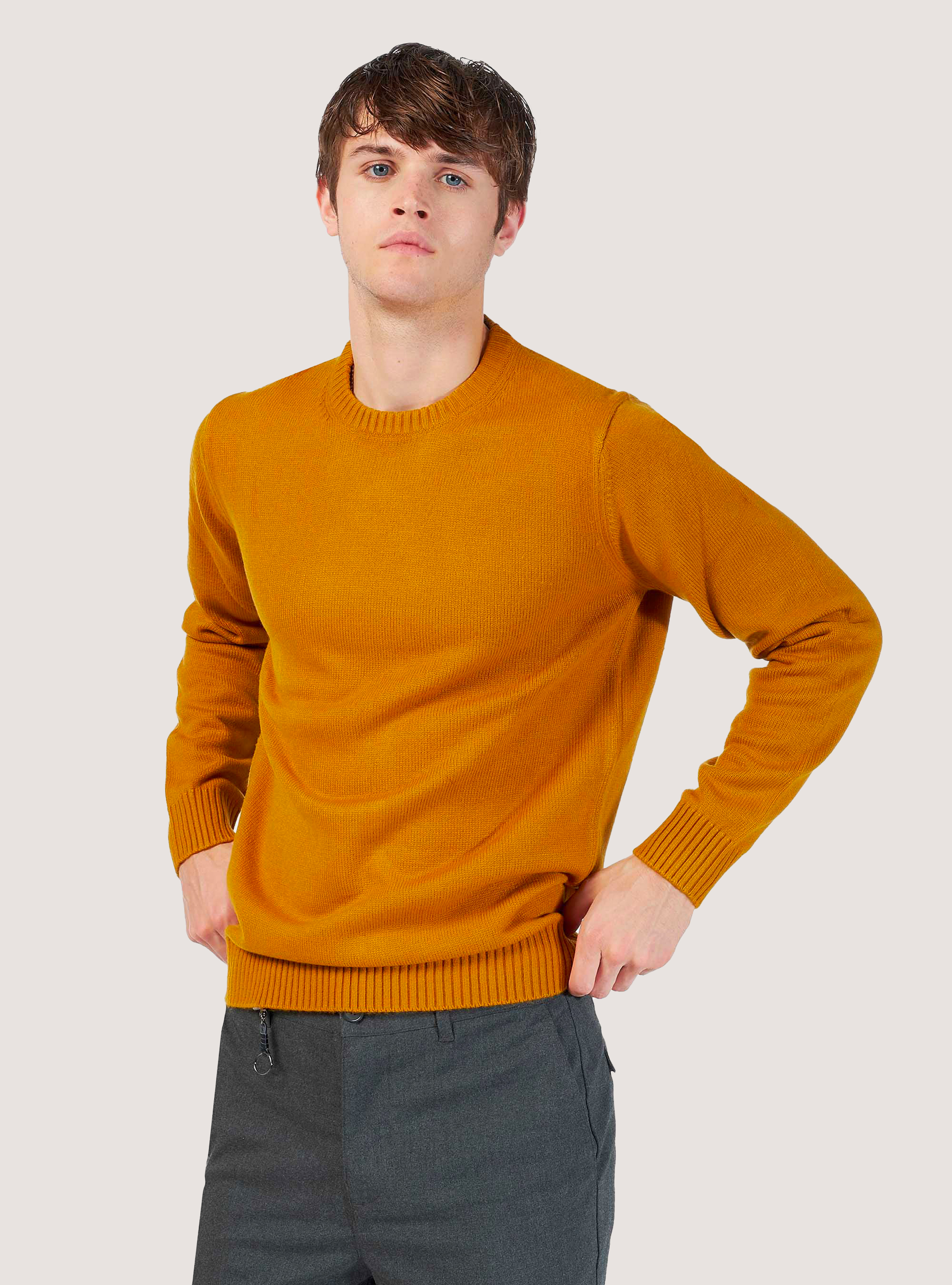 Pull col rond, C7727 SENAPE