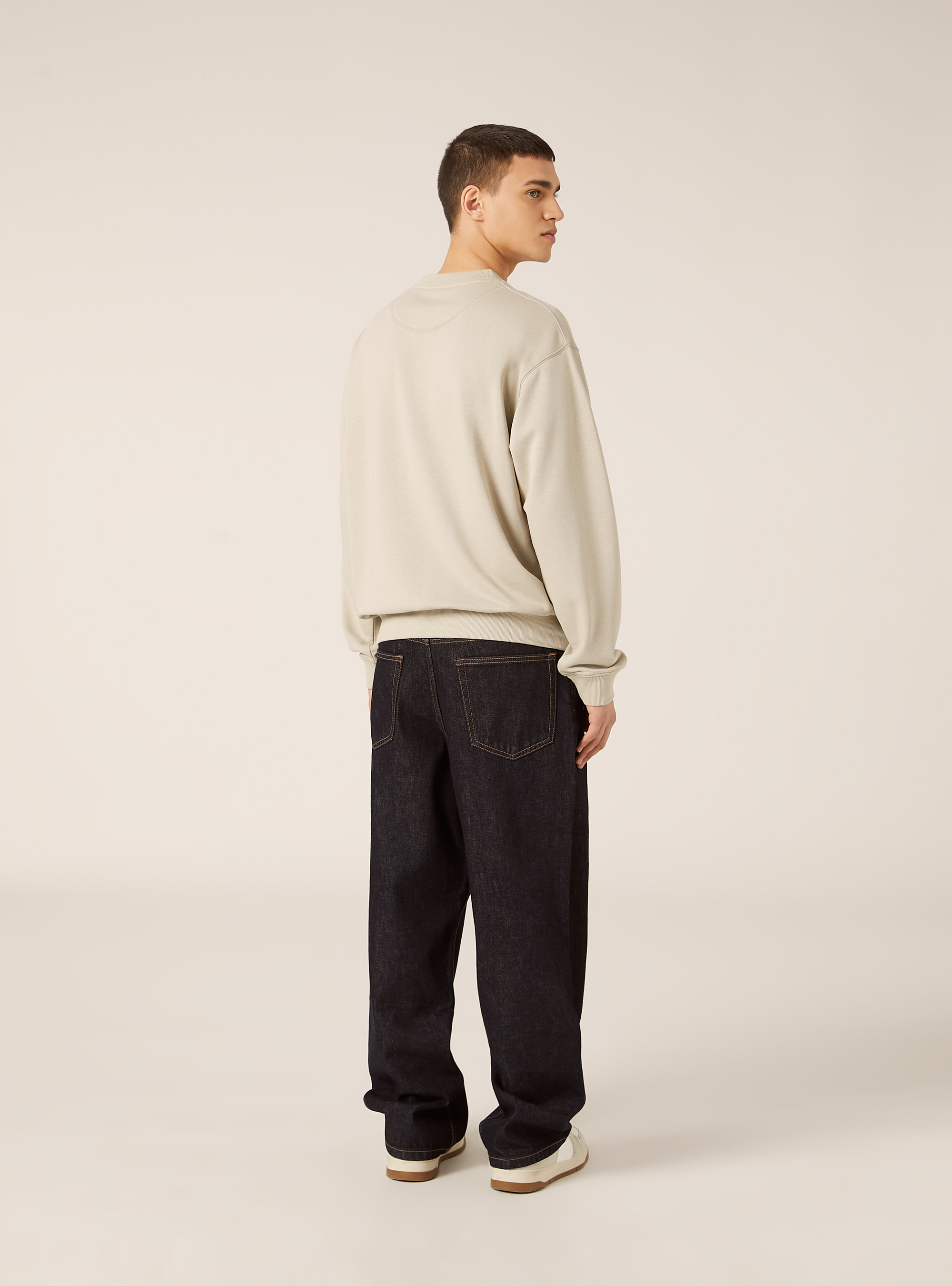 Felpa girocollo basica boxy fit, BG1 BEIGE DARK