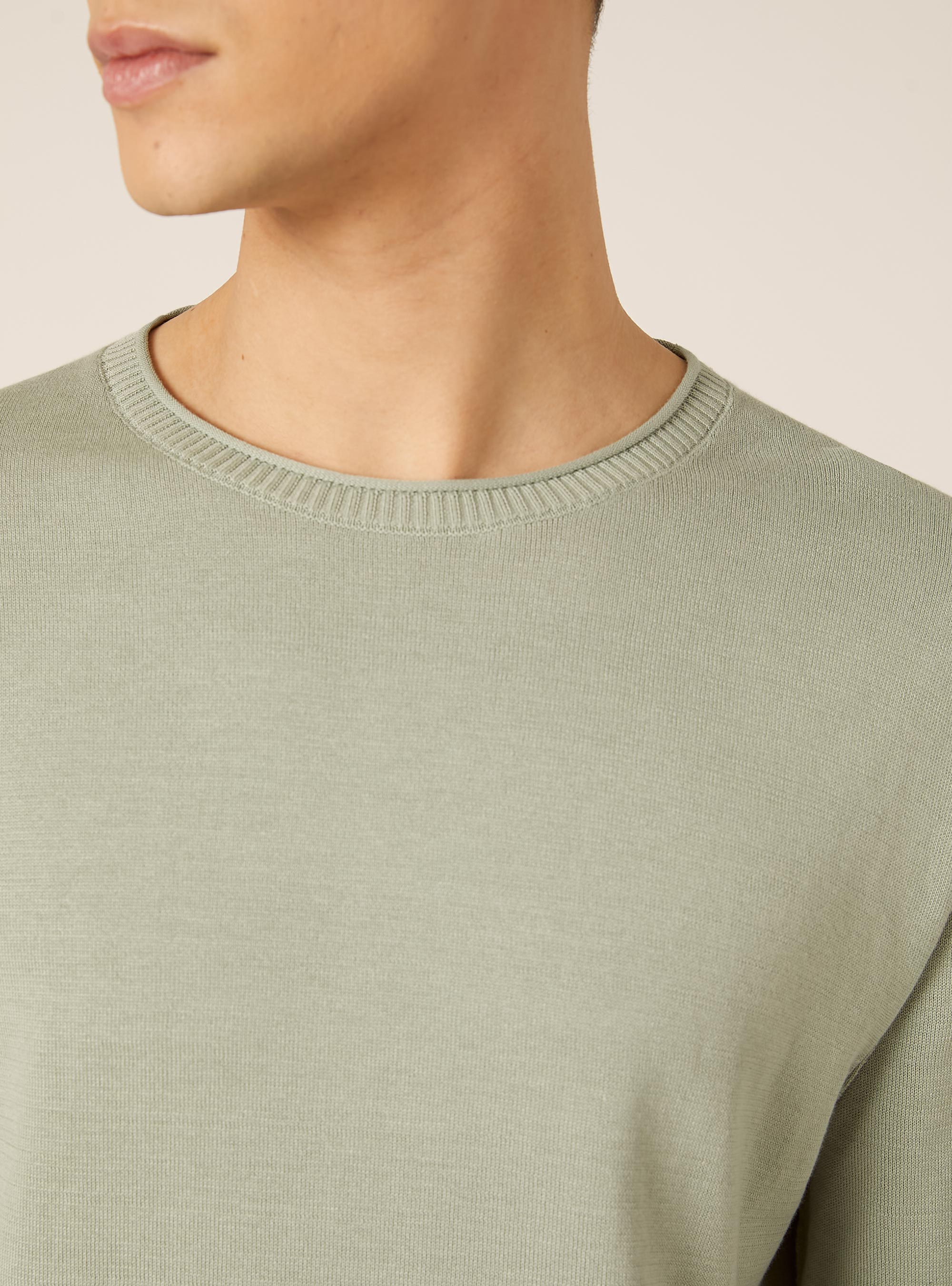 Pullover girocollo in cotone, SG3 SAGE LIGHT