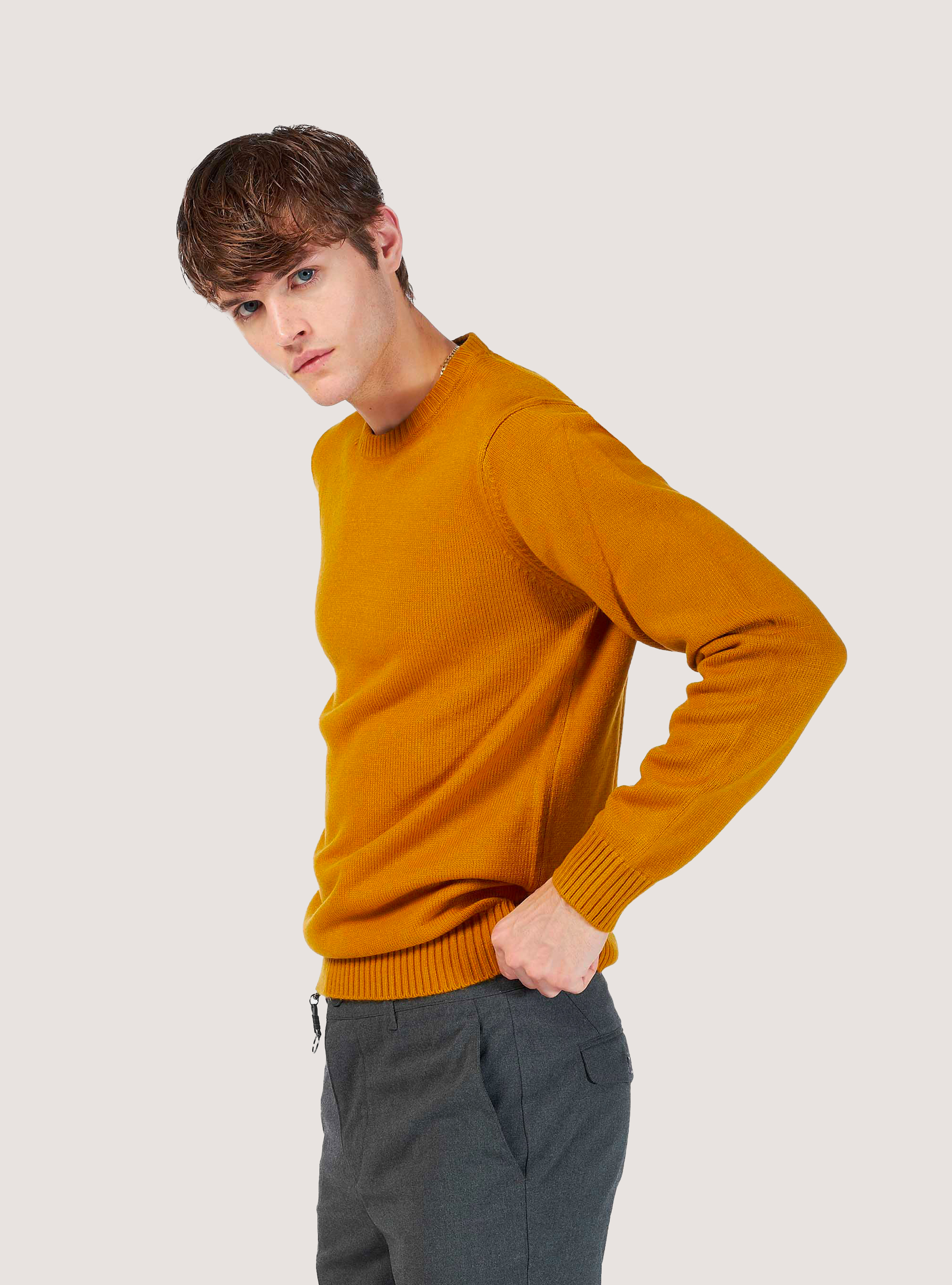 Pull col rond, C7727 SENAPE