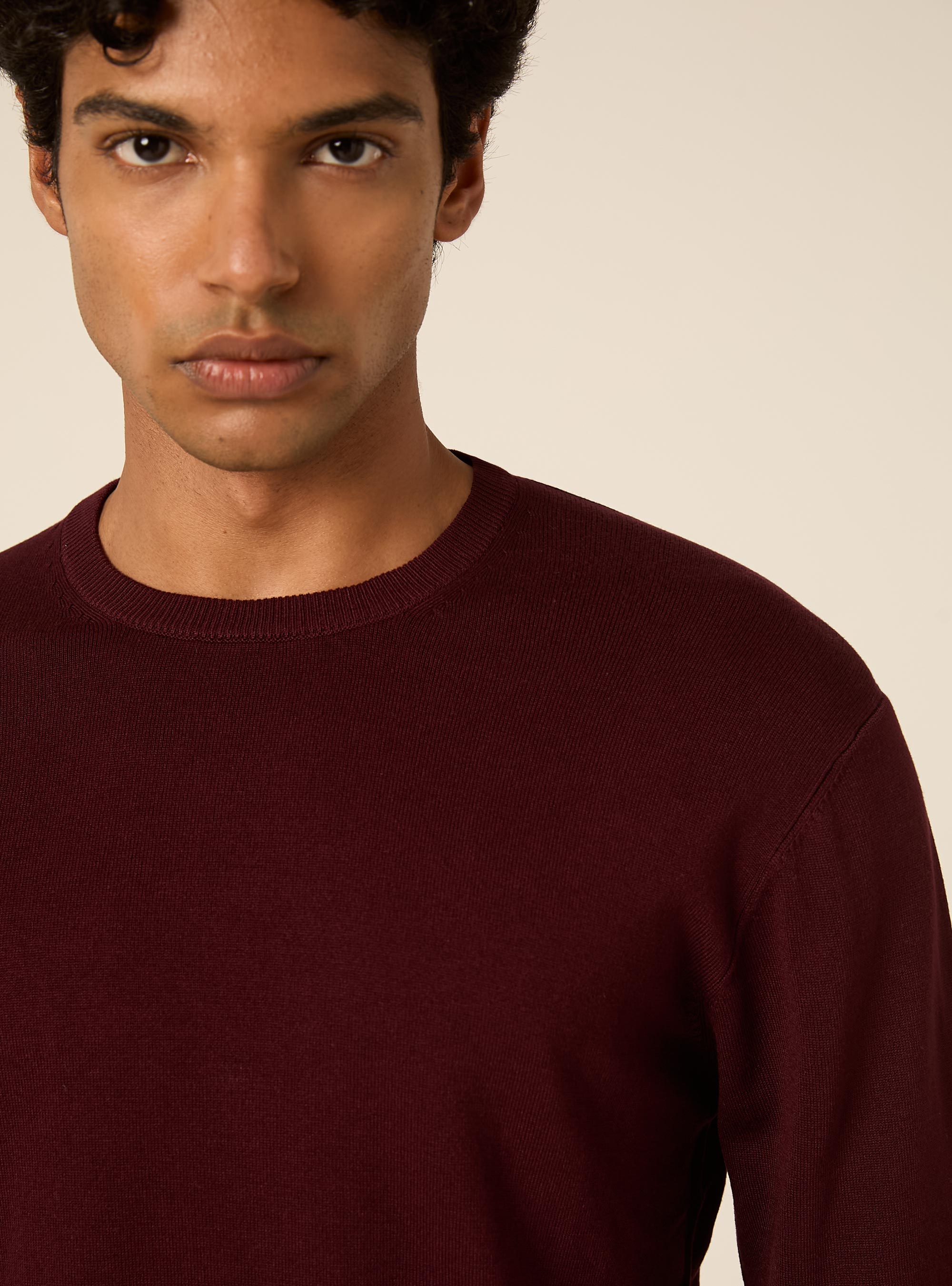Pullover girocollo in viscosa, BORDEAUX SCURO