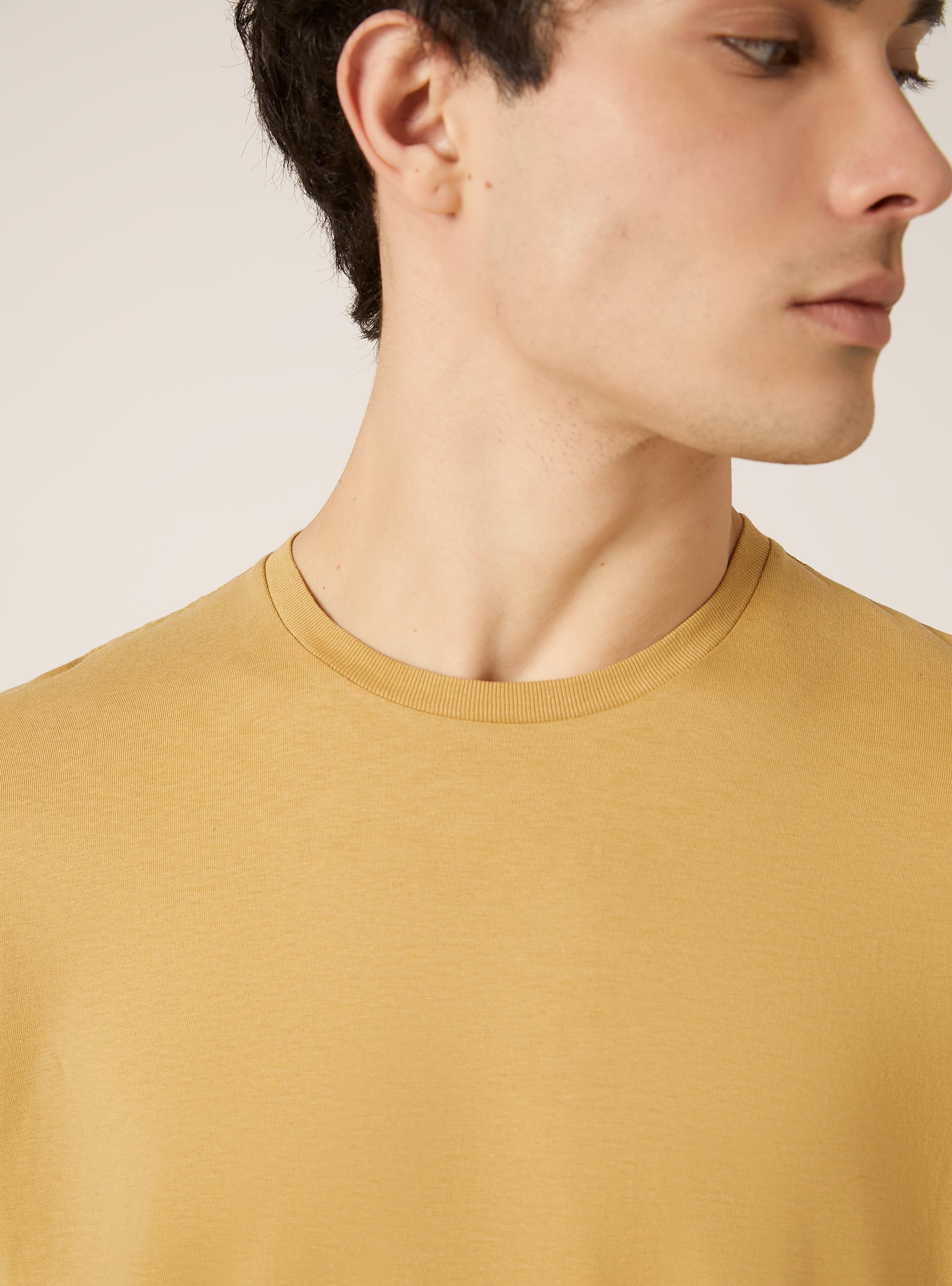 Cotton crew neck t-shirt, SE2 SENAPE MEDIUM