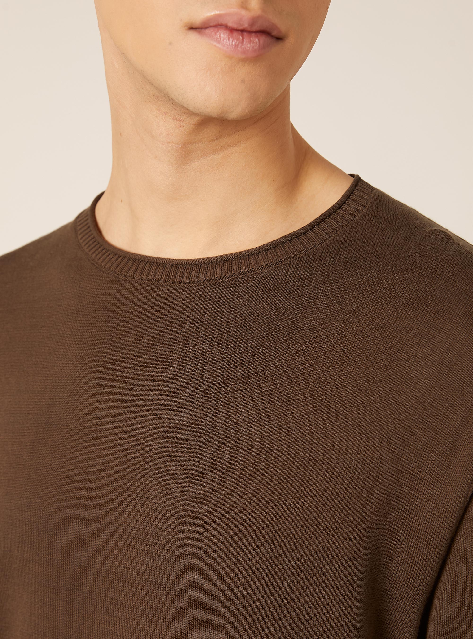 Pullover girocollo in cotone, BR2 BROWN MEDIUM