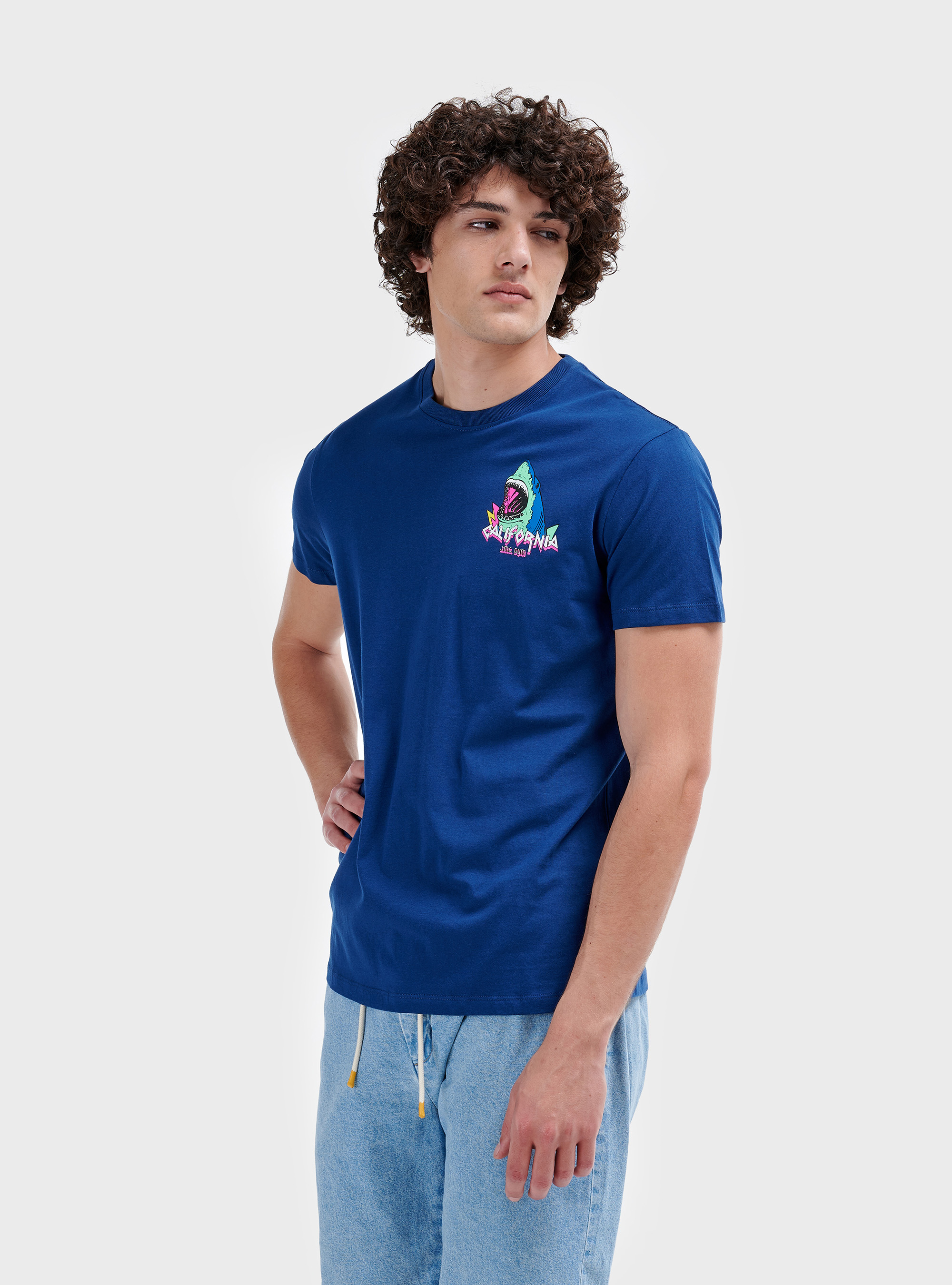 Printed t-shirt, C0214 BLUE