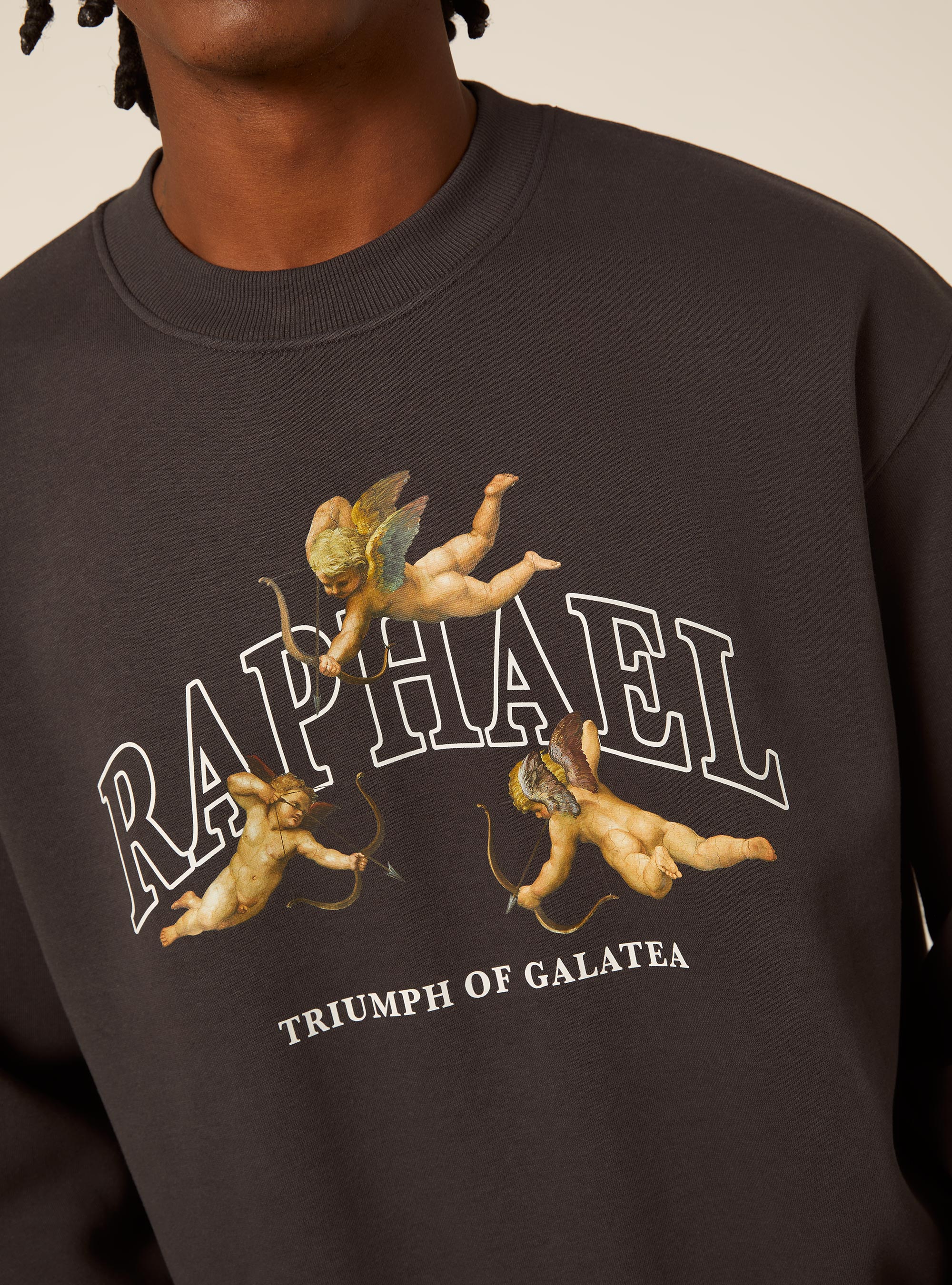 Felpa girocollo con stampa arte raffaello boxy fit, GY1 GREY DARK