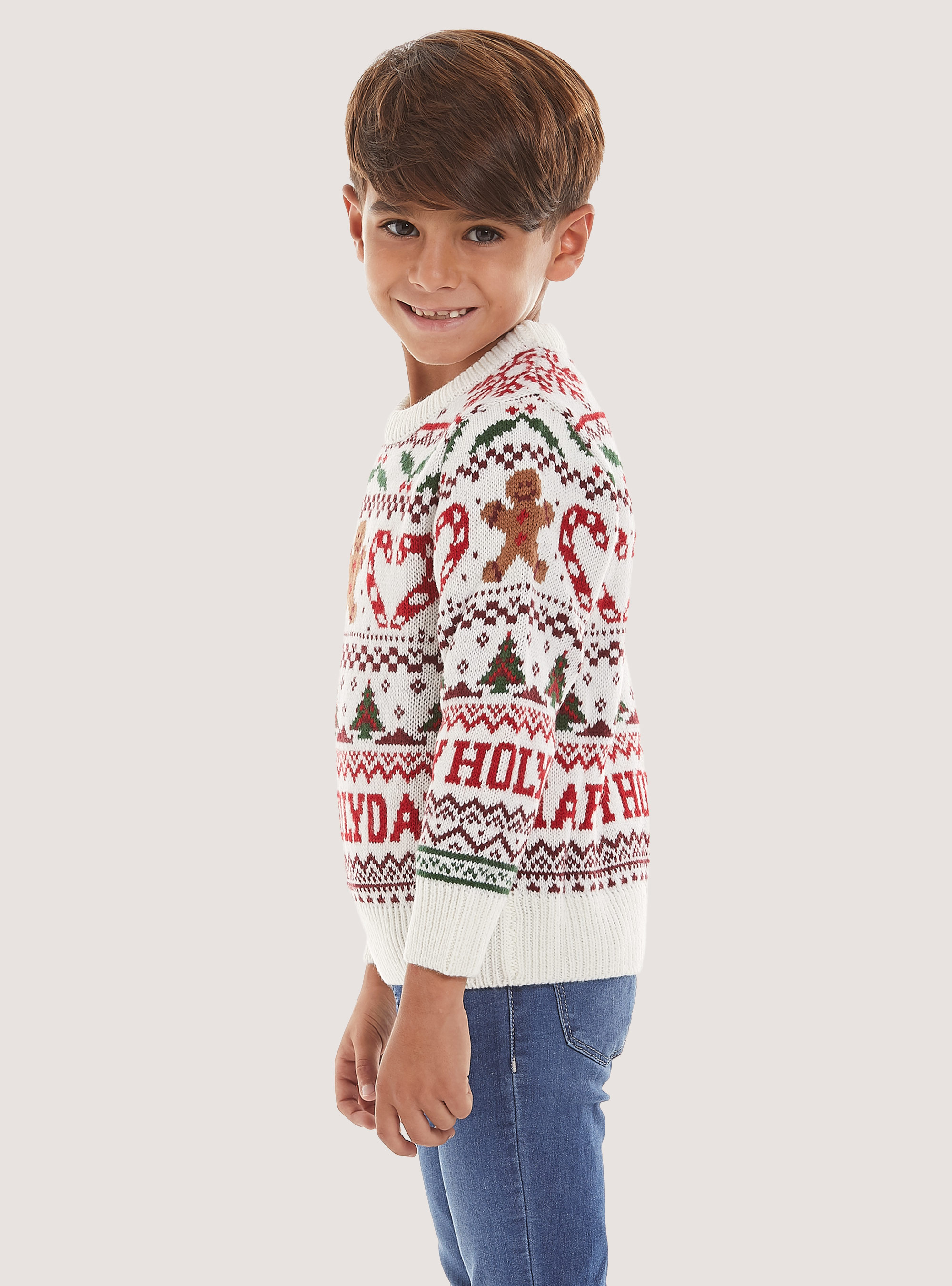 Christmas Family Collection pullover | Alcott | Men's Sweaters