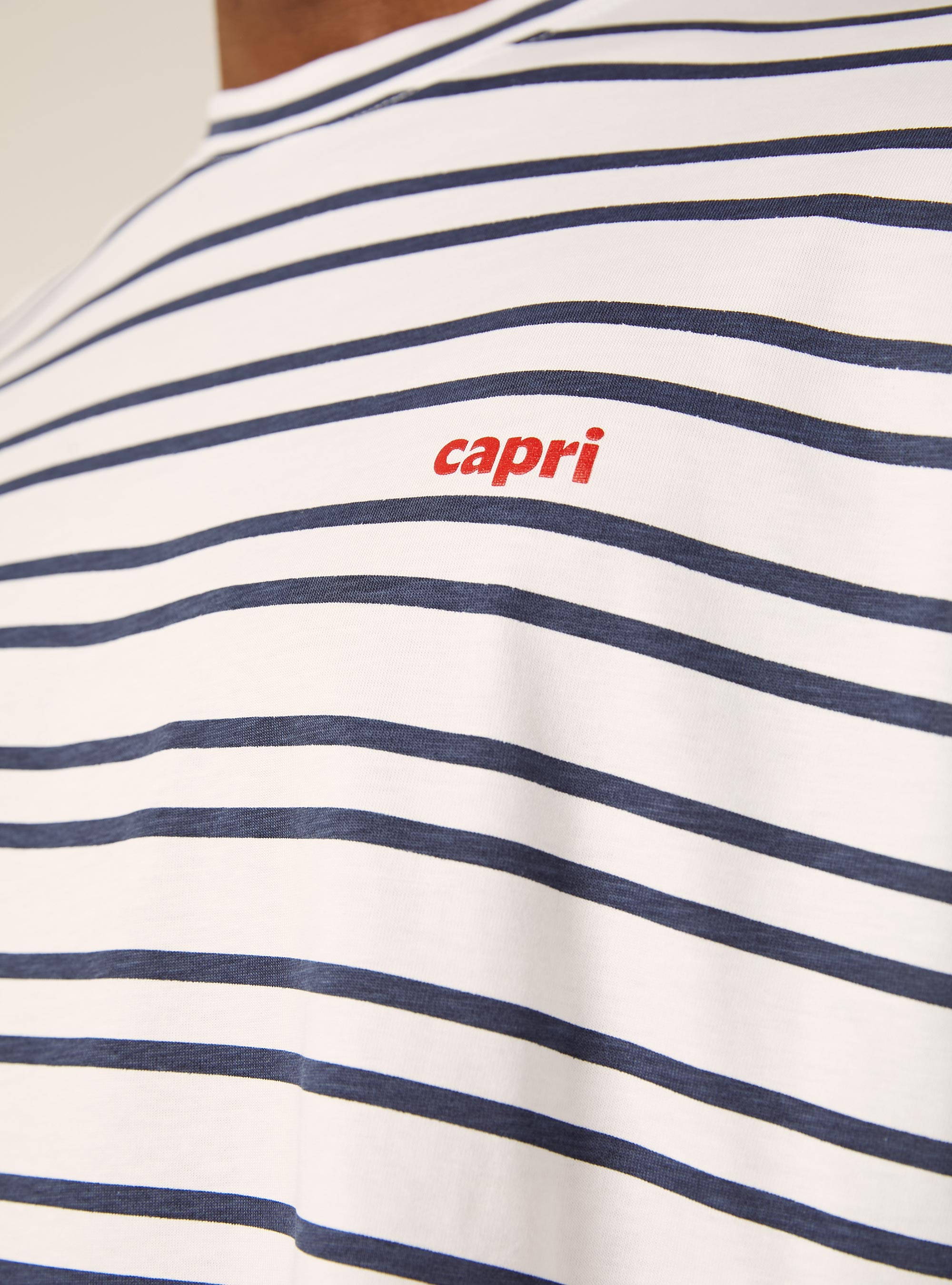 T-shirt boxy a righe con stampa capri, NA2 NAVY MEDIUM