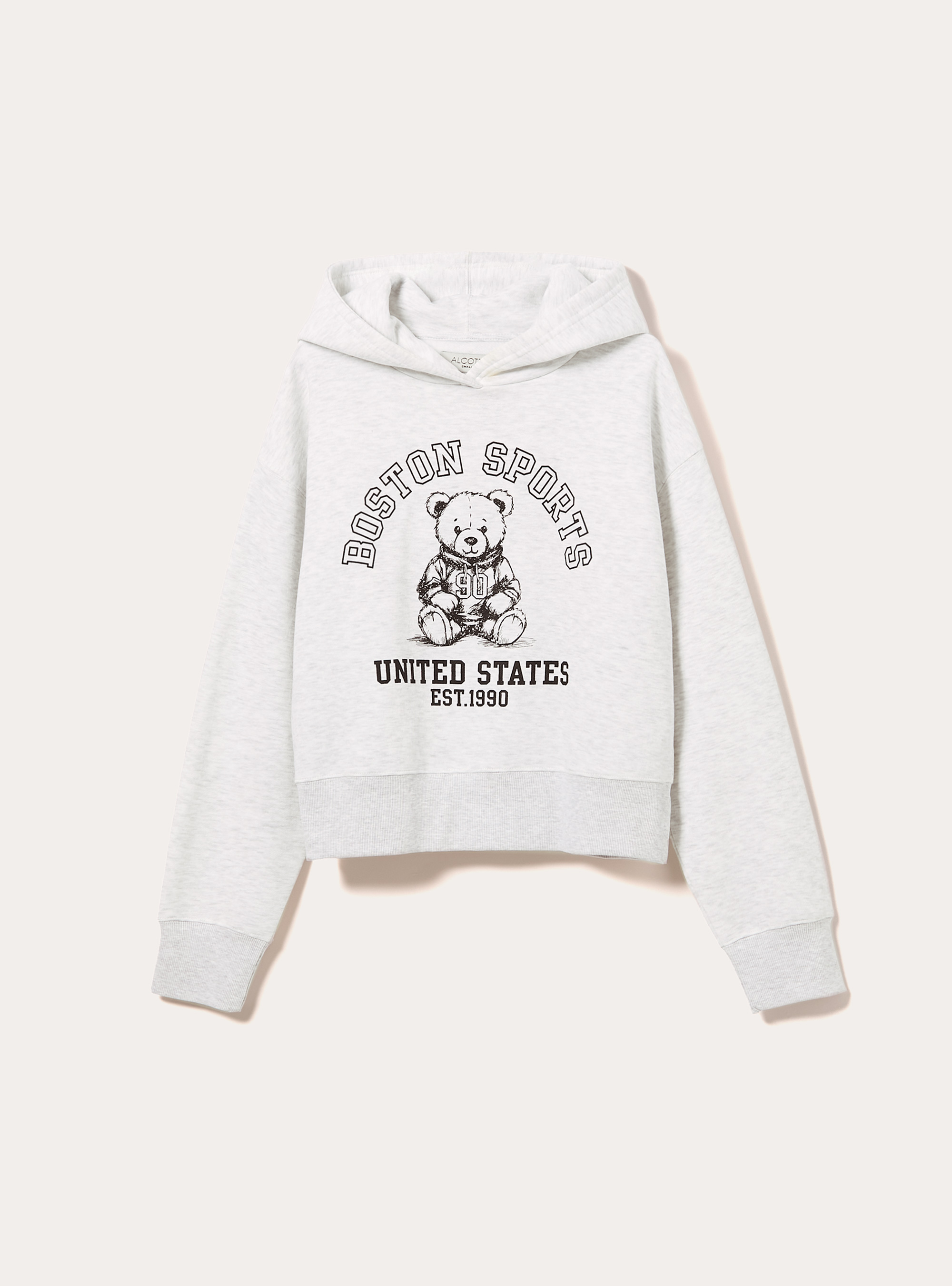 Felpa boxy cappuccio con stampa teddy, MGY3 GREY MEL LIGHT