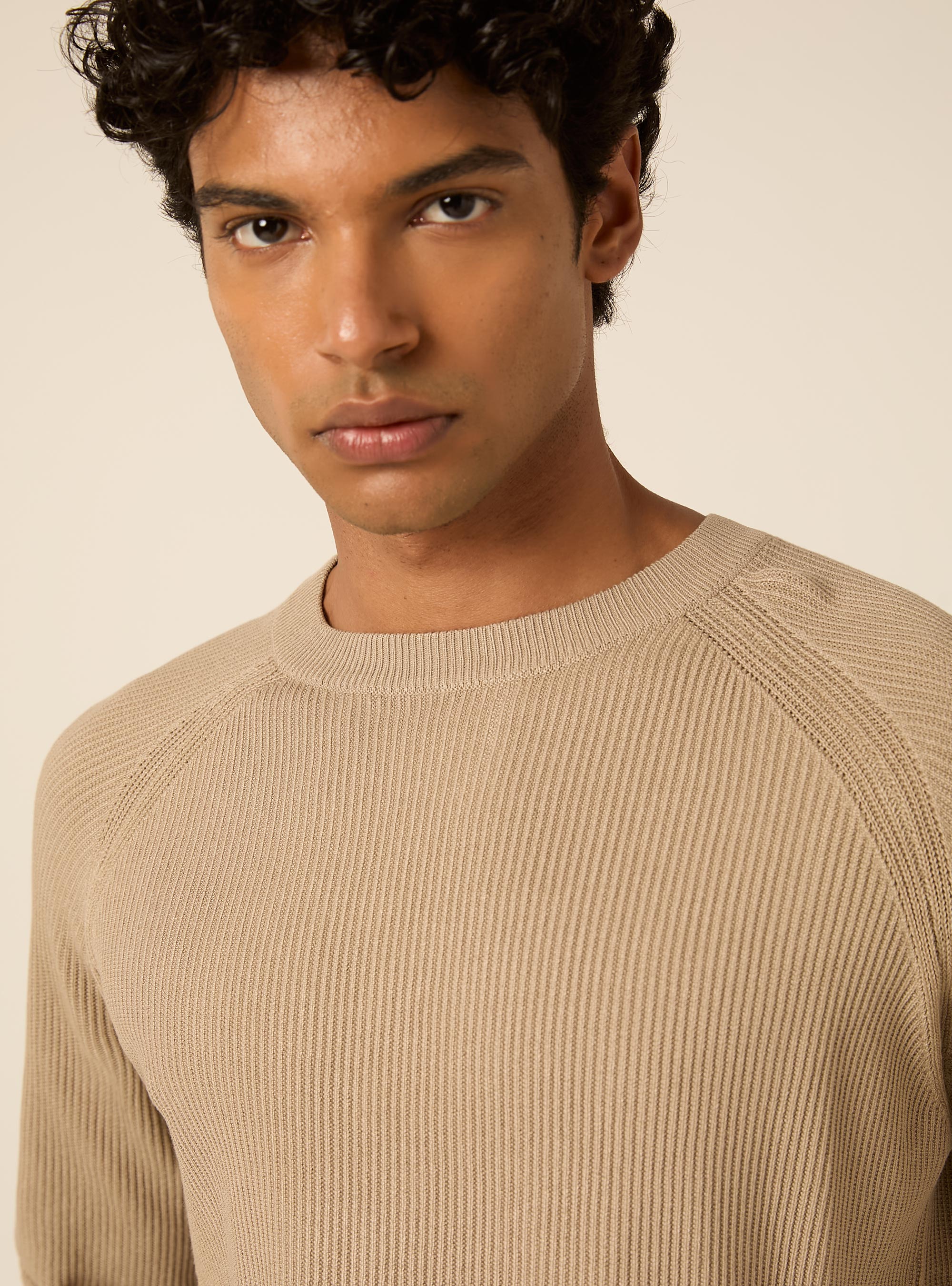 Maglia girocollo in misto cotone regular fit, BG2 BEIGE MEDIUM