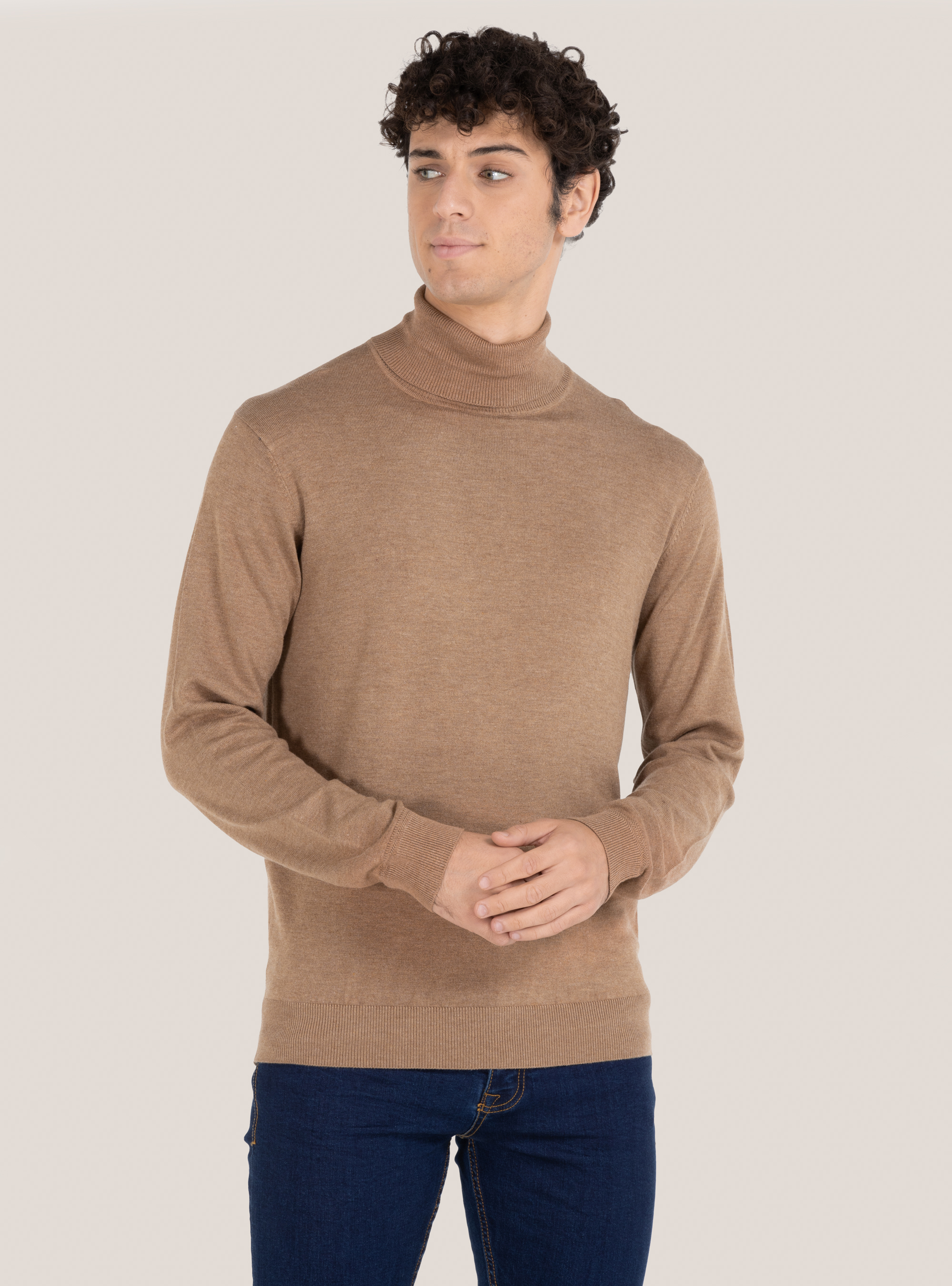 Basic turtleneck pullover, BEIGE