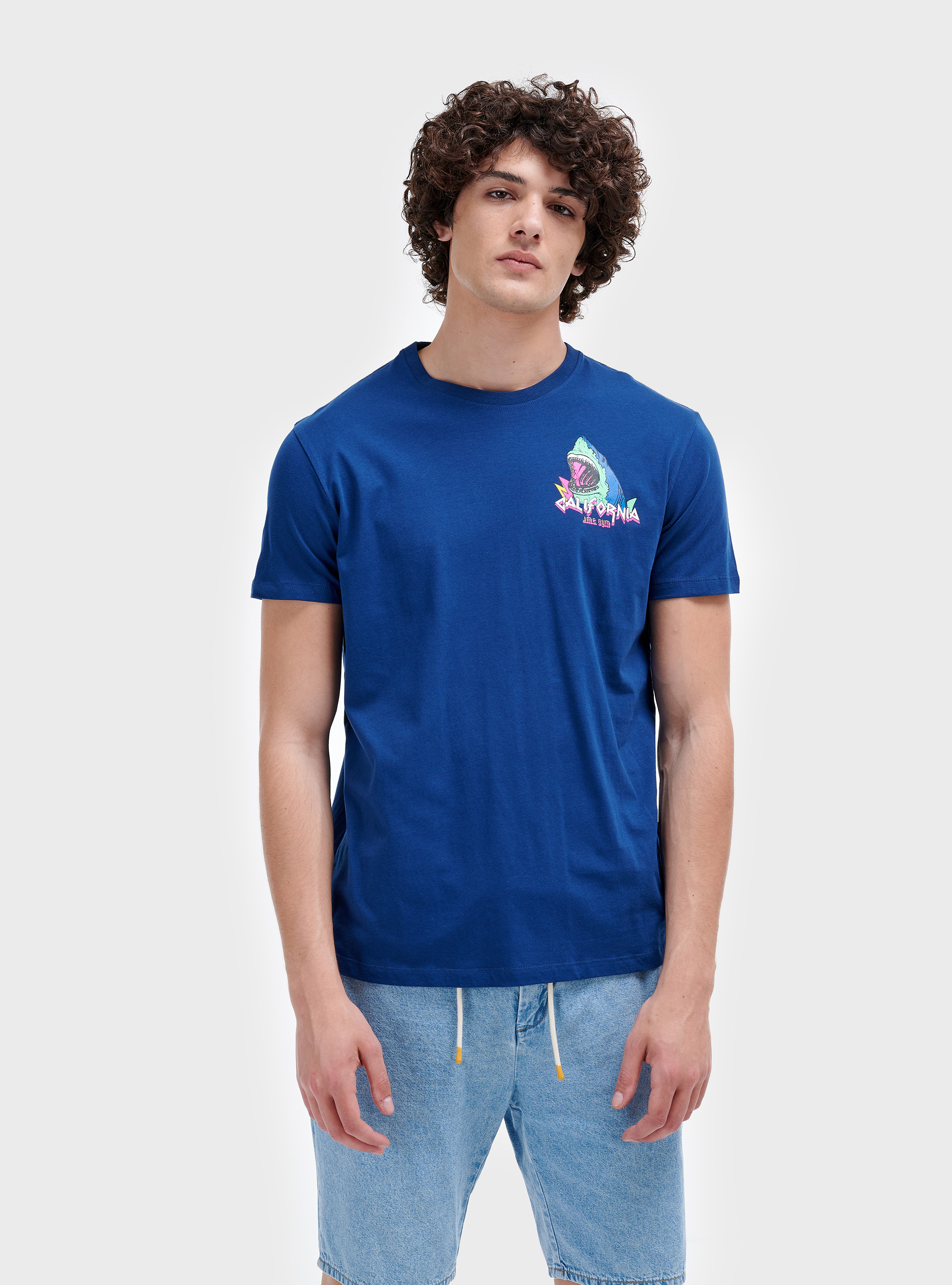 Printed t-shirt, C0214 BLUE