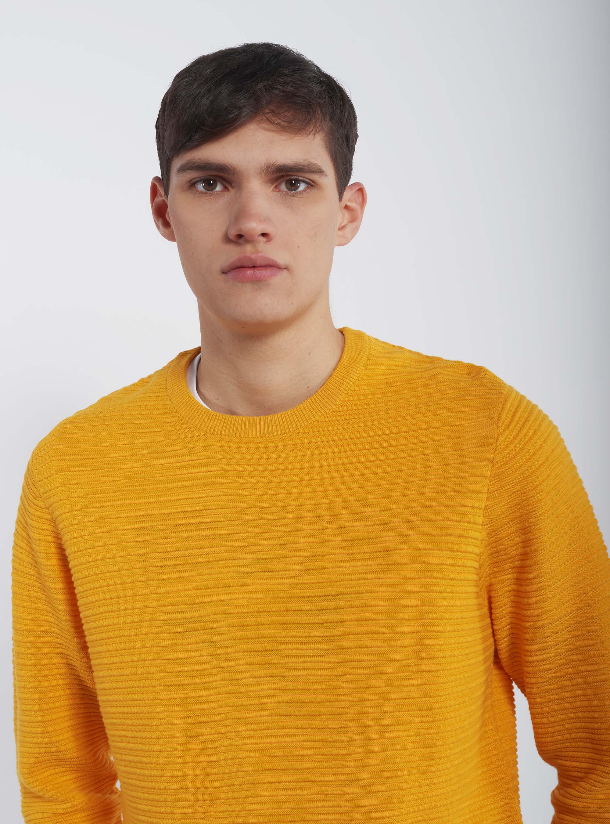 Basic Pullover mit Rundhalsausschnitt aus strukturiertem Strick, C7747 YELLOW