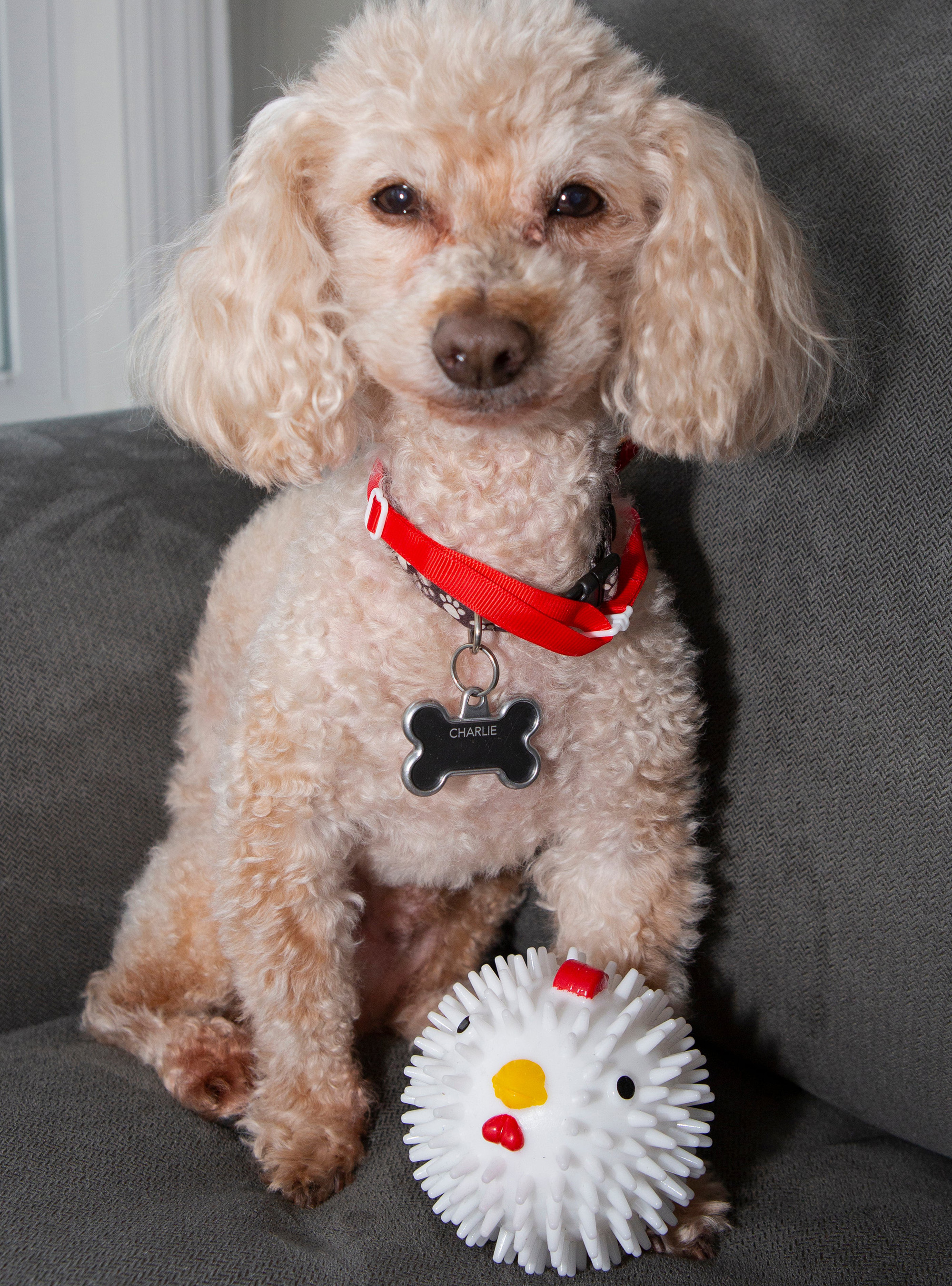 Kobe Chicken Dog Ball, 