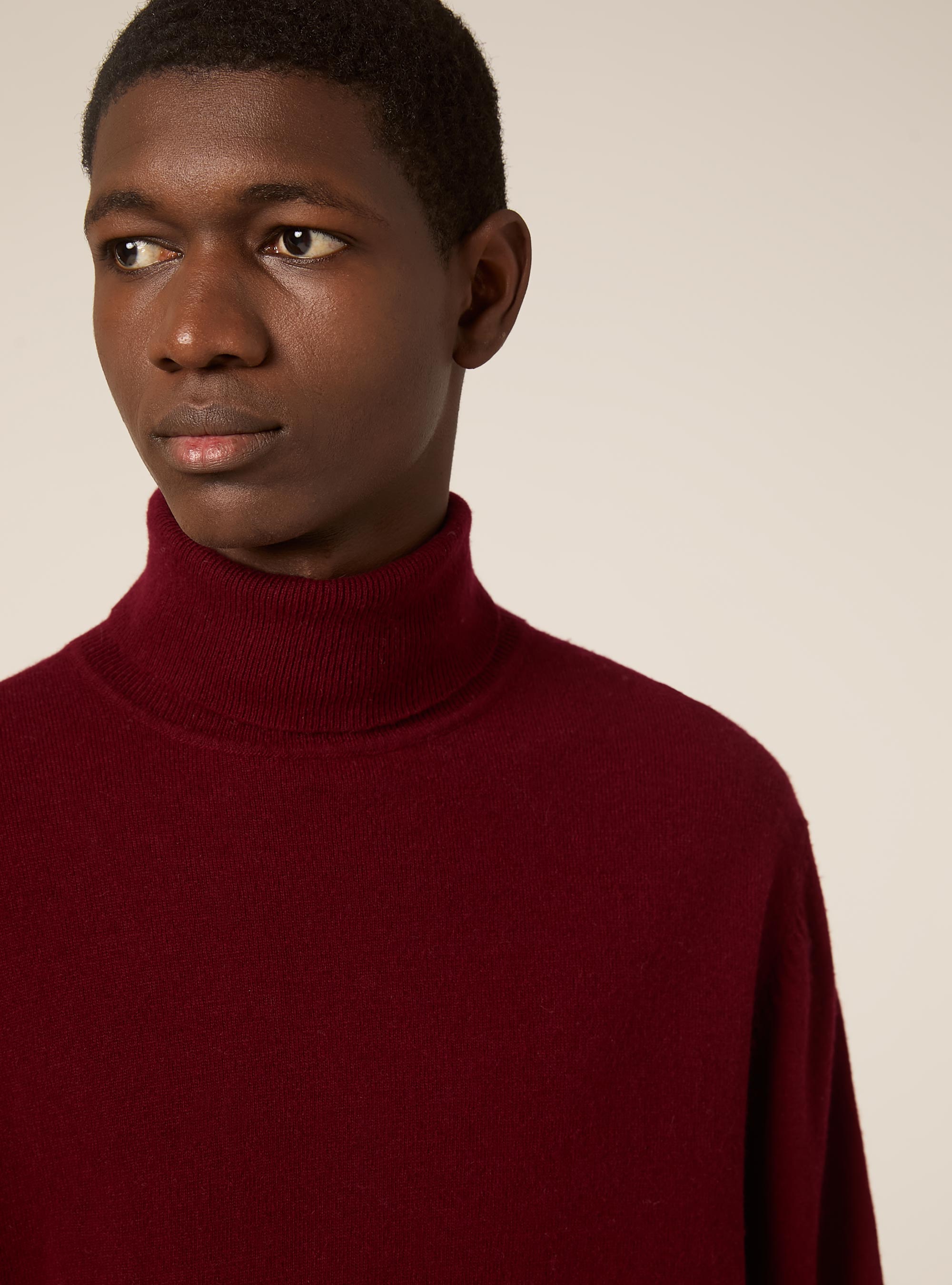 Rollkragenpullover mit Rippstrickabschluss, C3307 WINE