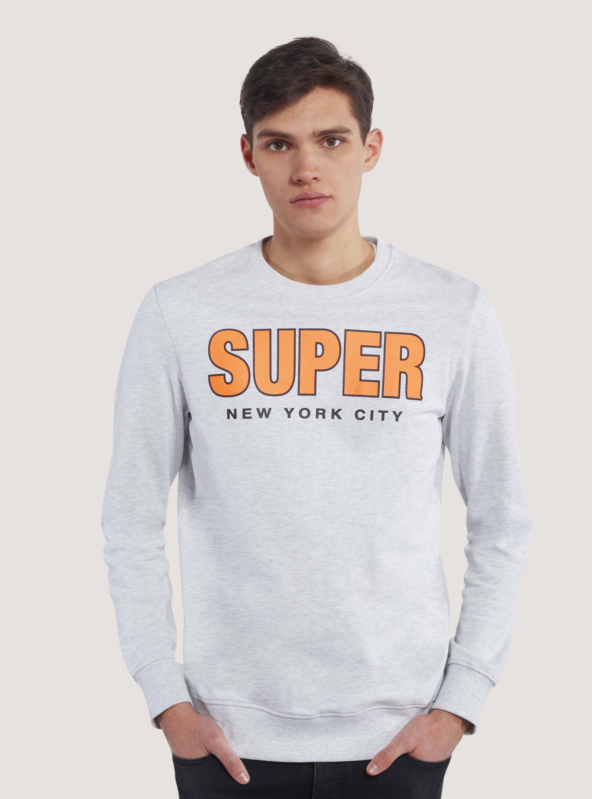 Terry crew neck sweatshirt with print, C148 ICE MELANGE