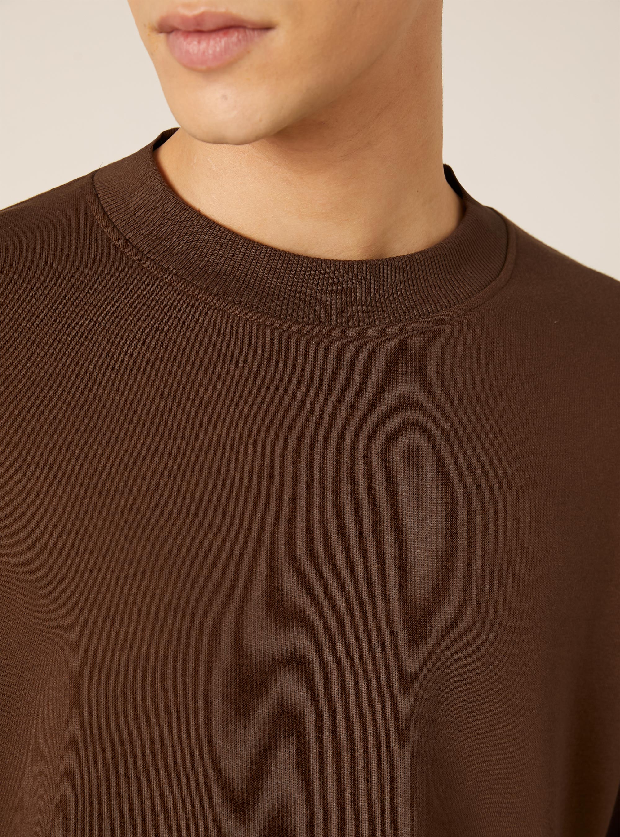 Boxy fit crew neck sweatshirt, BR1 BROWN DARK