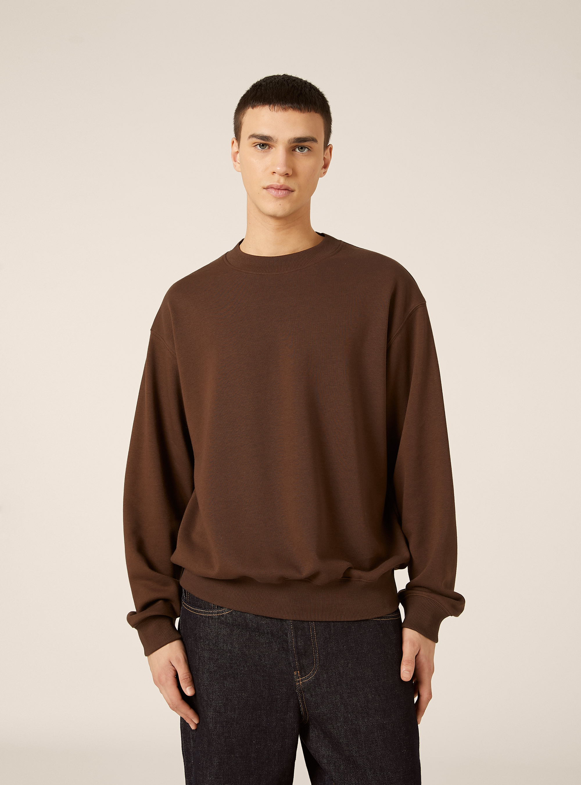 Boxy fit crew neck sweatshirt, BR1 BROWN DARK