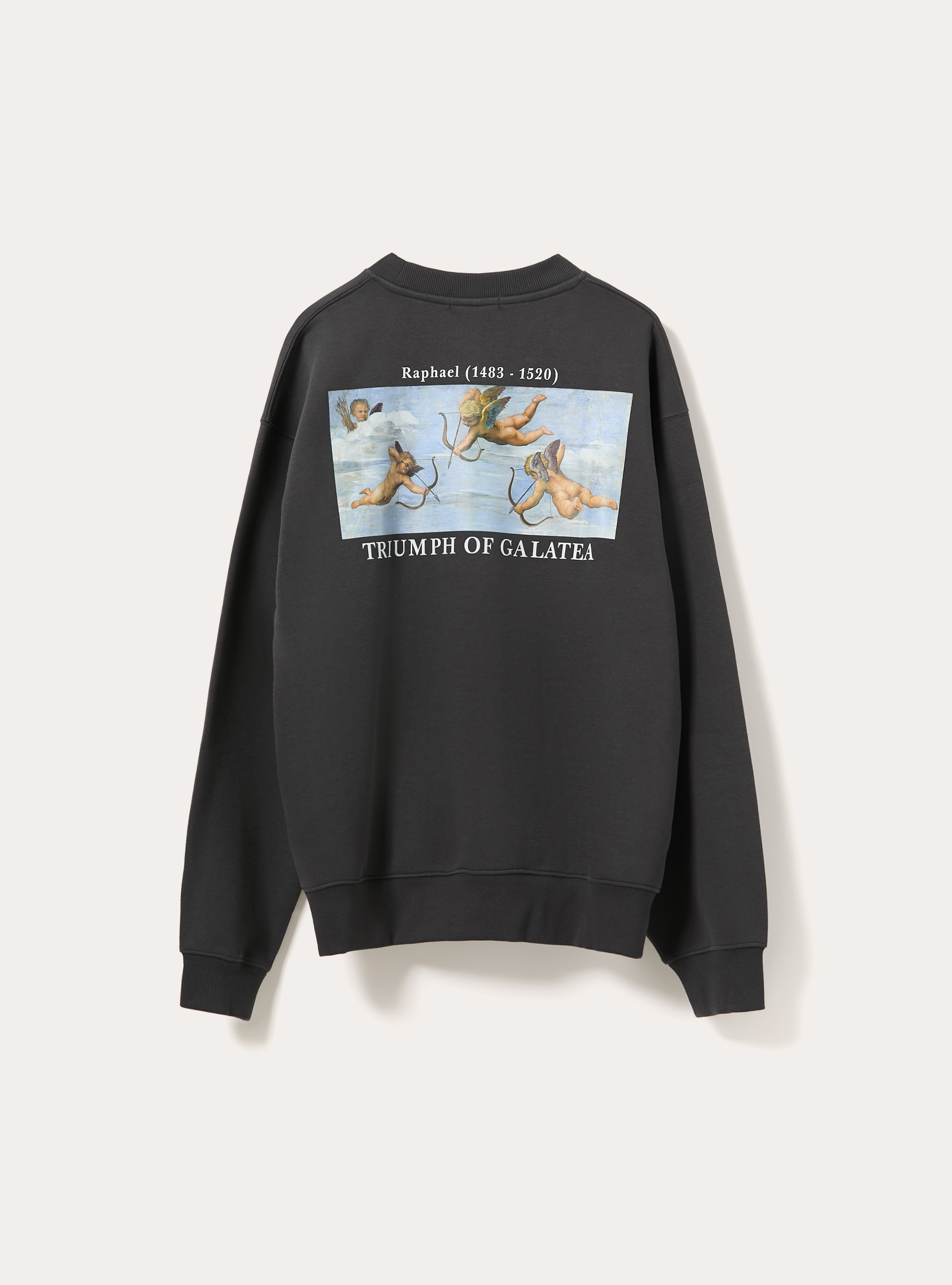 Felpa girocollo con stampa arte raffaello boxy fit, GY1 GREY DARK