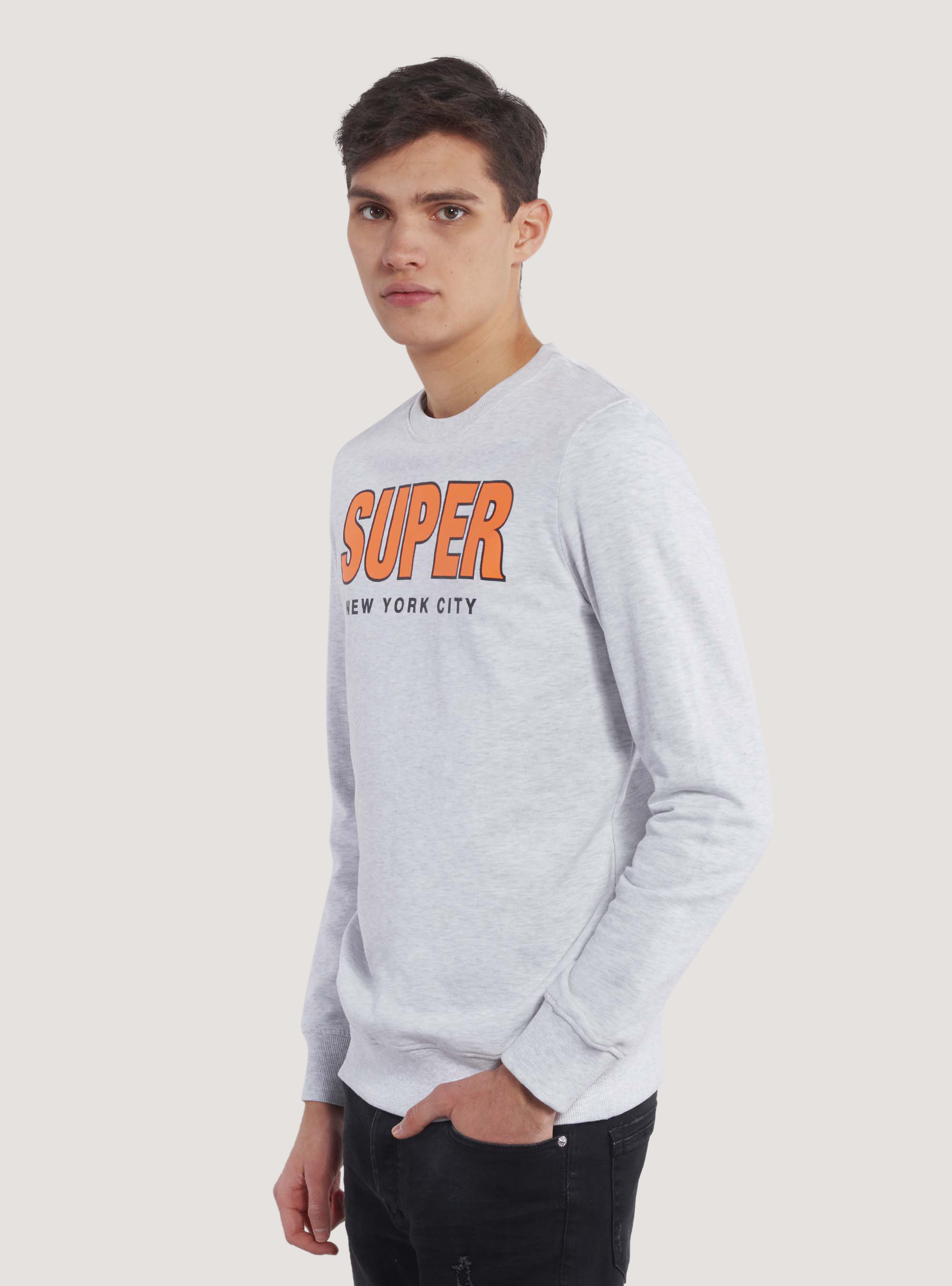 Terry crew neck sweatshirt with print, C148 ICE MELANGE