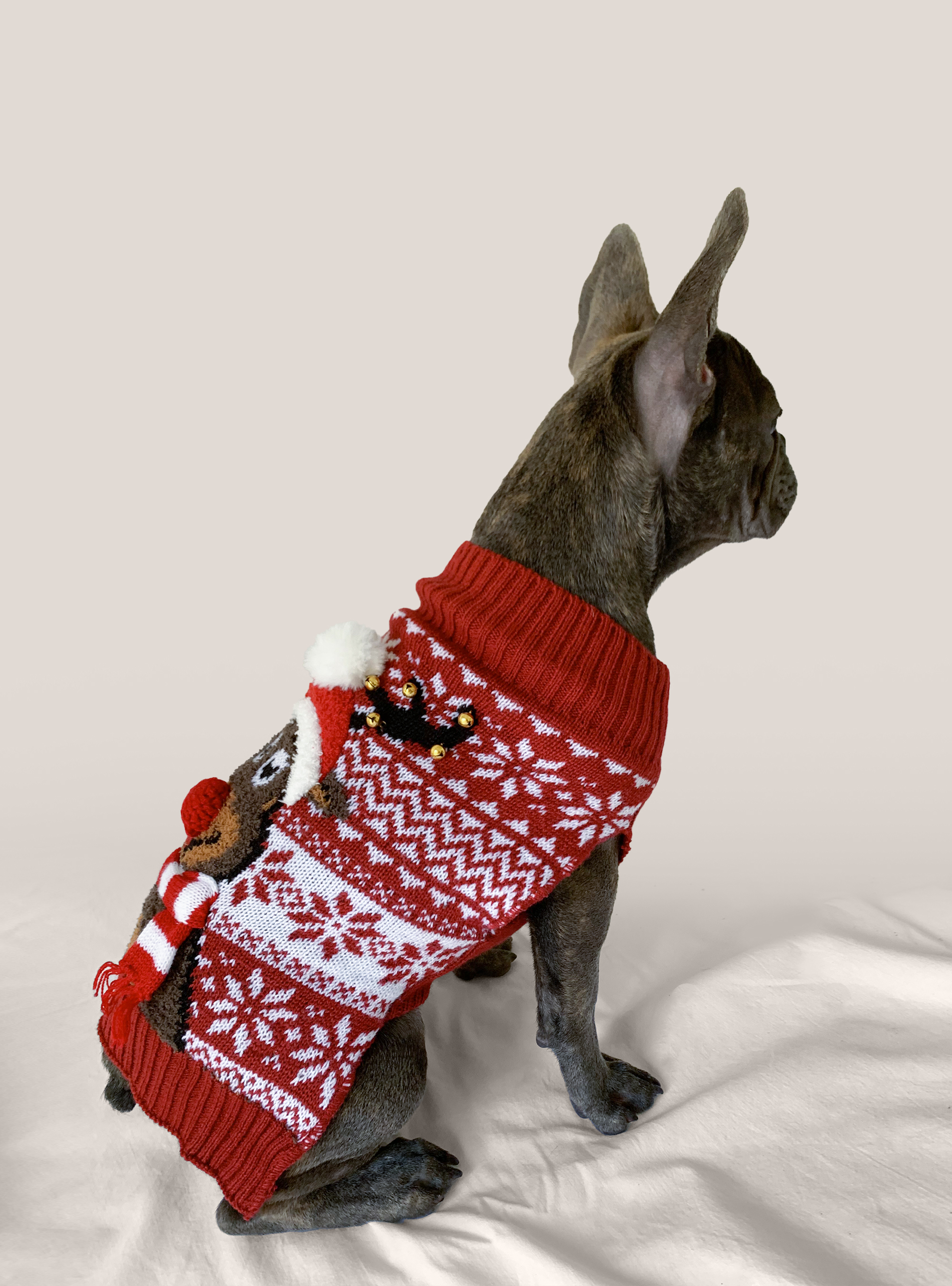 christmas jumpers with dogs on them