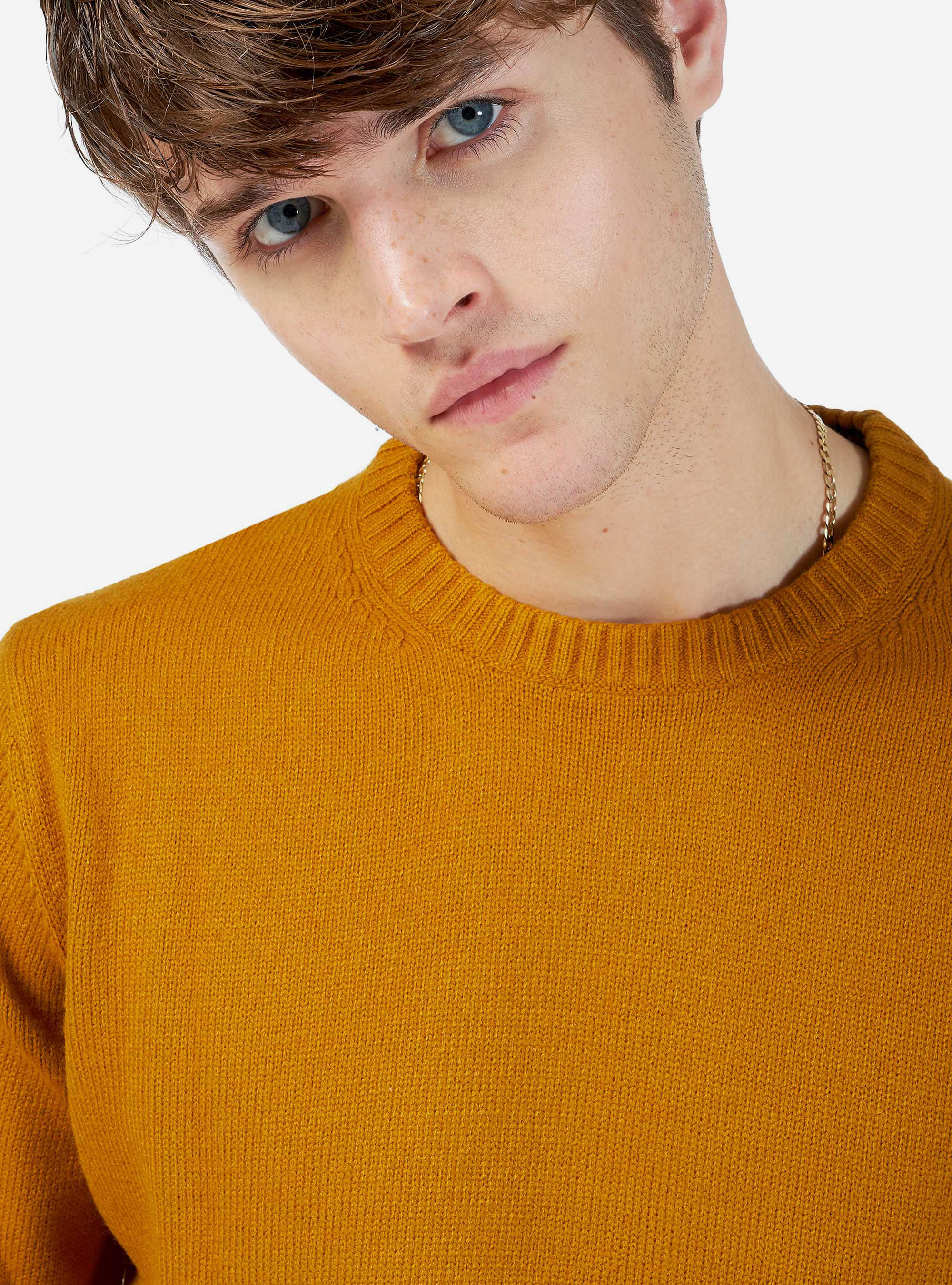 Pull col rond, C7727 SENAPE