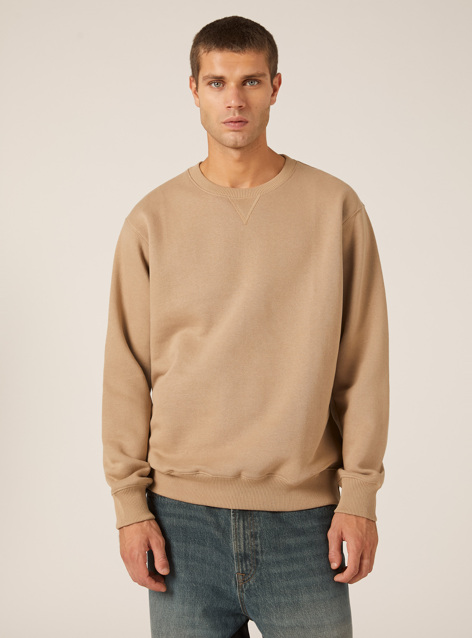 Solid color crew neck sweatshirt, BG1 BEIGE DARK