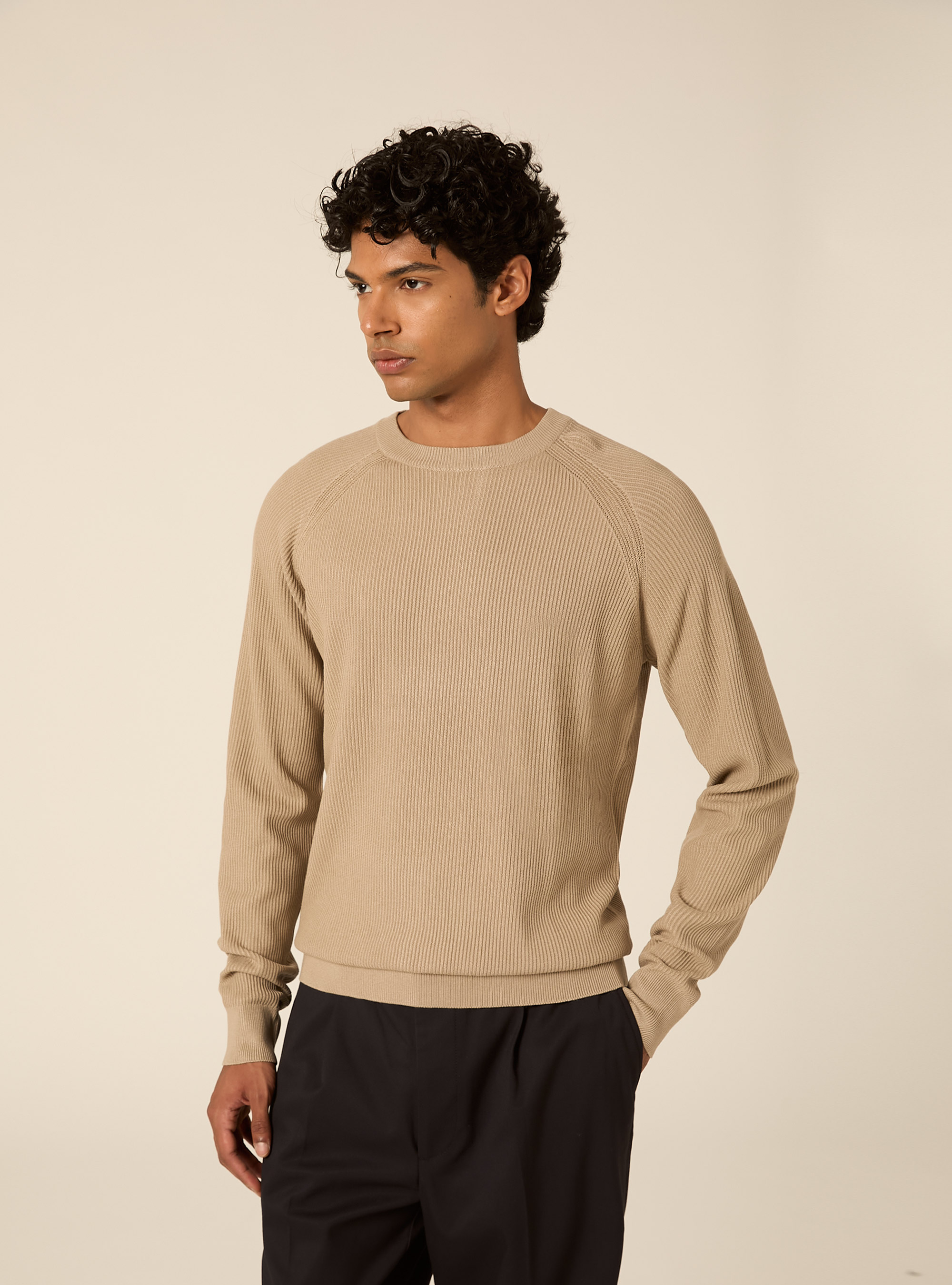 Maglia girocollo in misto cotone regular fit, BG2 BEIGE MEDIUM
