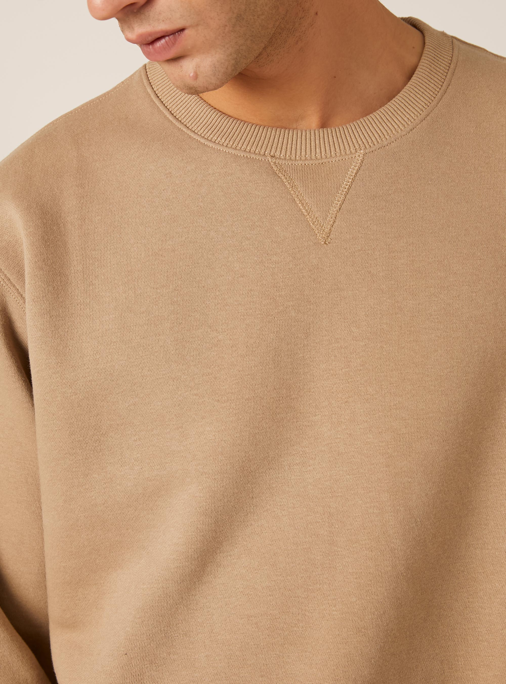 Solid color crew neck sweatshirt, BG1 BEIGE DARK