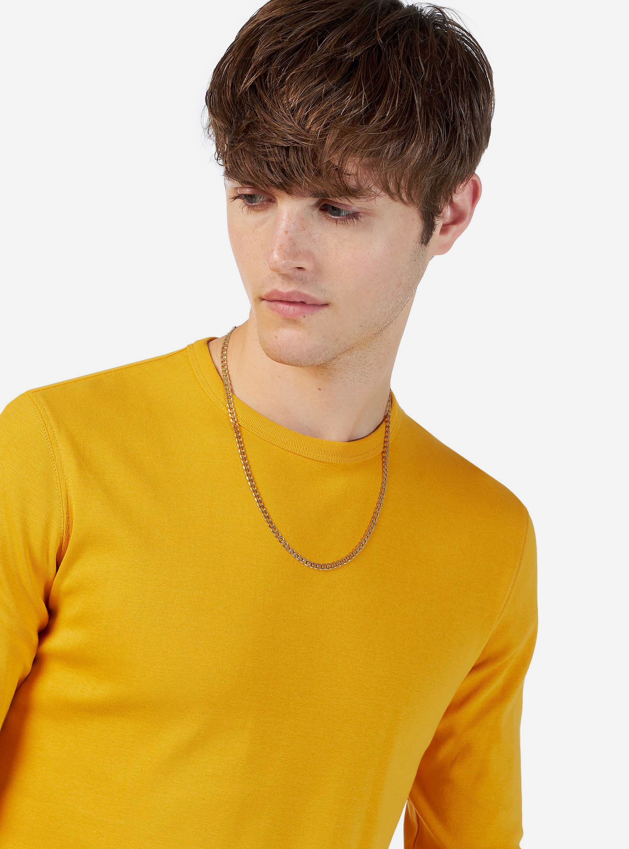 Basic t-shirt 100% cotton comfort fit, C719 SENAPE