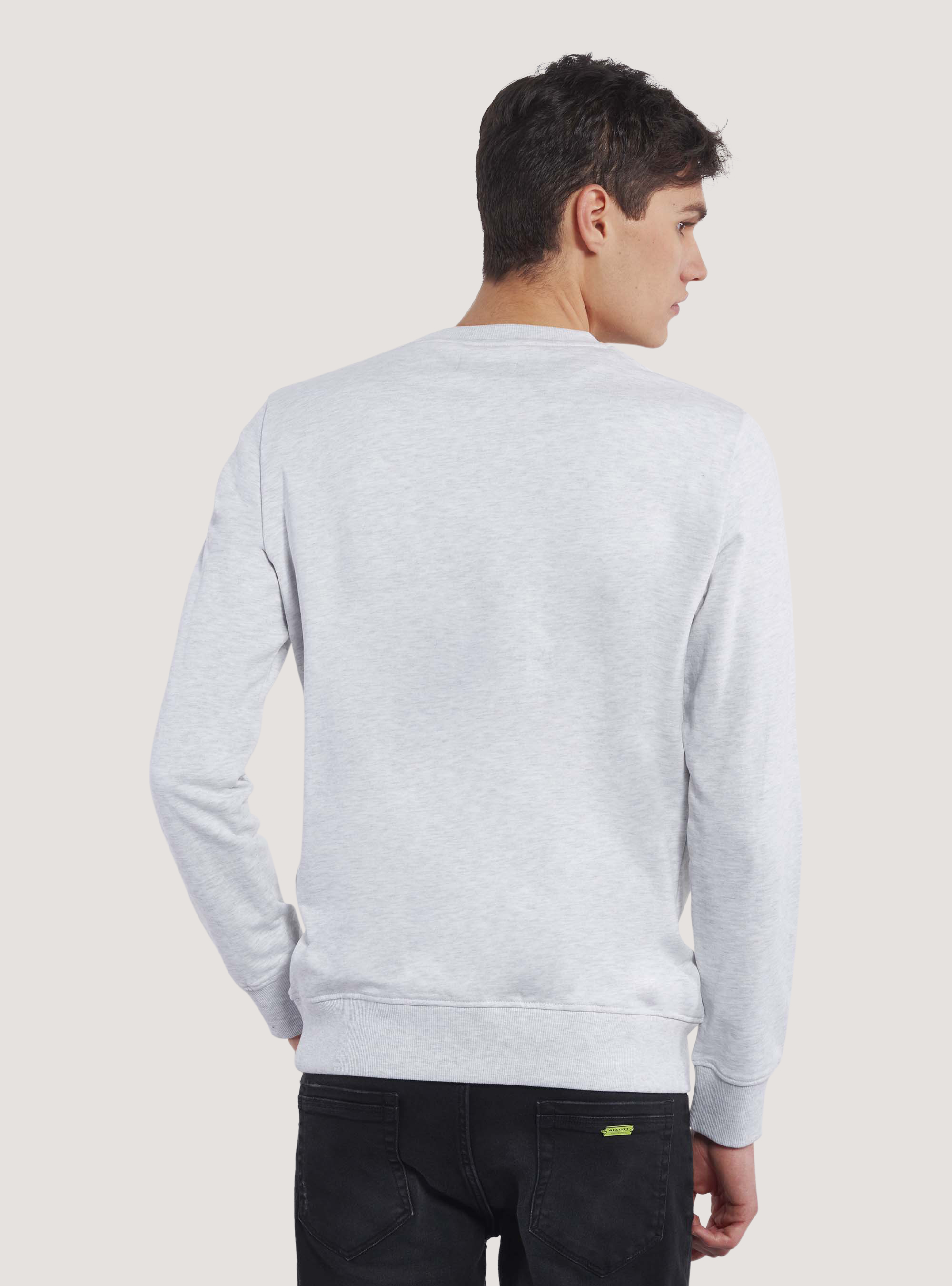 Terry crew neck sweatshirt with print, C148 ICE MELANGE