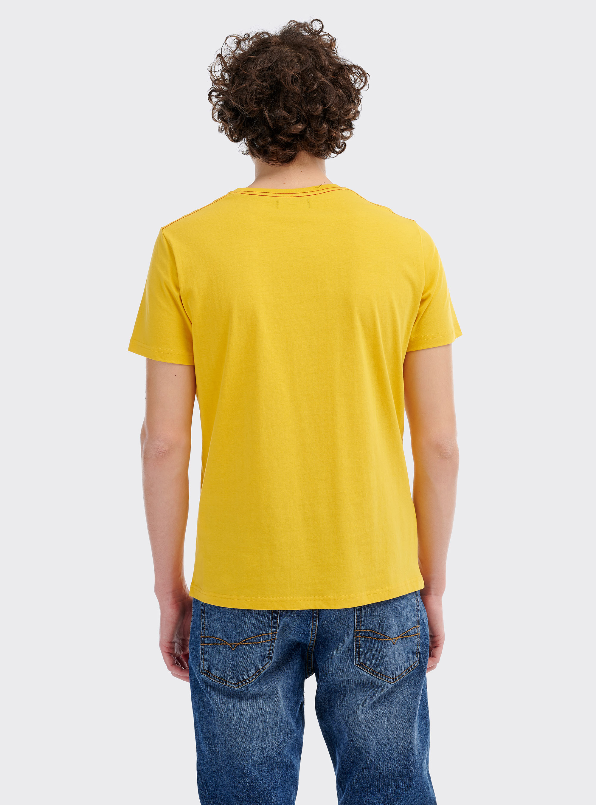 Maglietta con stampa vespa e logo Alcott, C7713 YELLOW