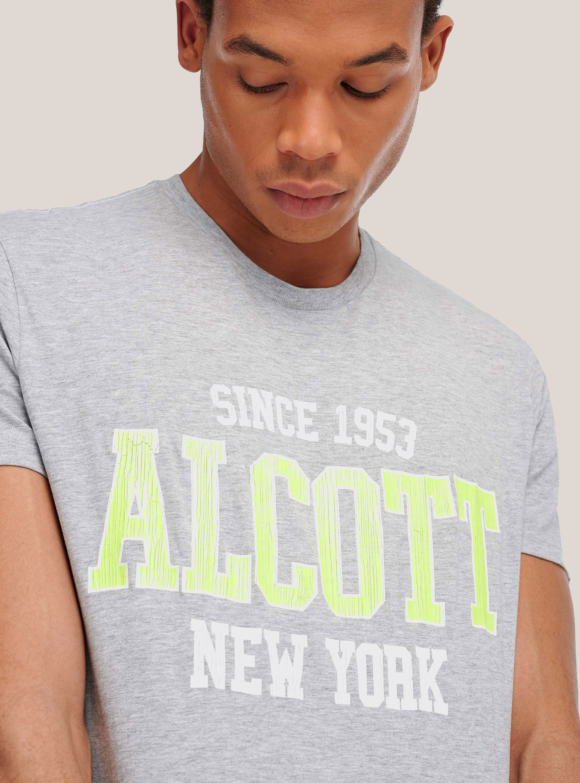 T-Shirt mit Alcott-Logo, C143 LIGHT GREY M