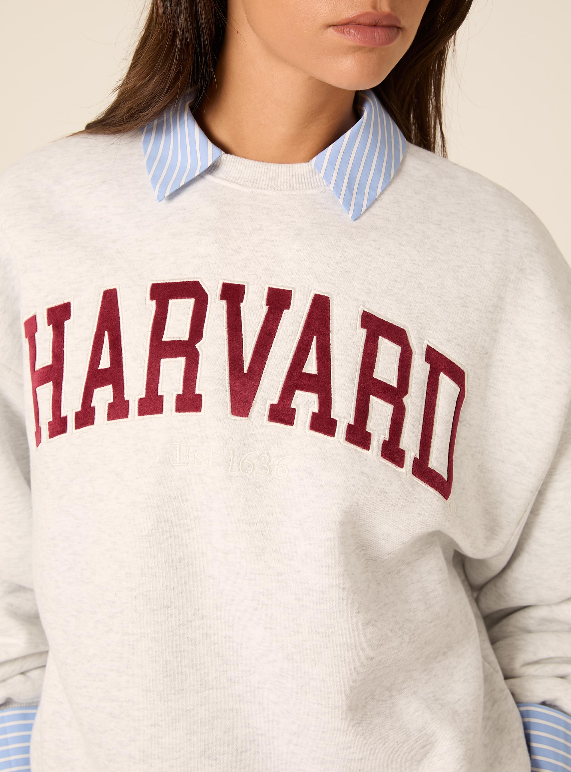 Felpa girocollo harvard, GRIGIO CHIARO MELANGE