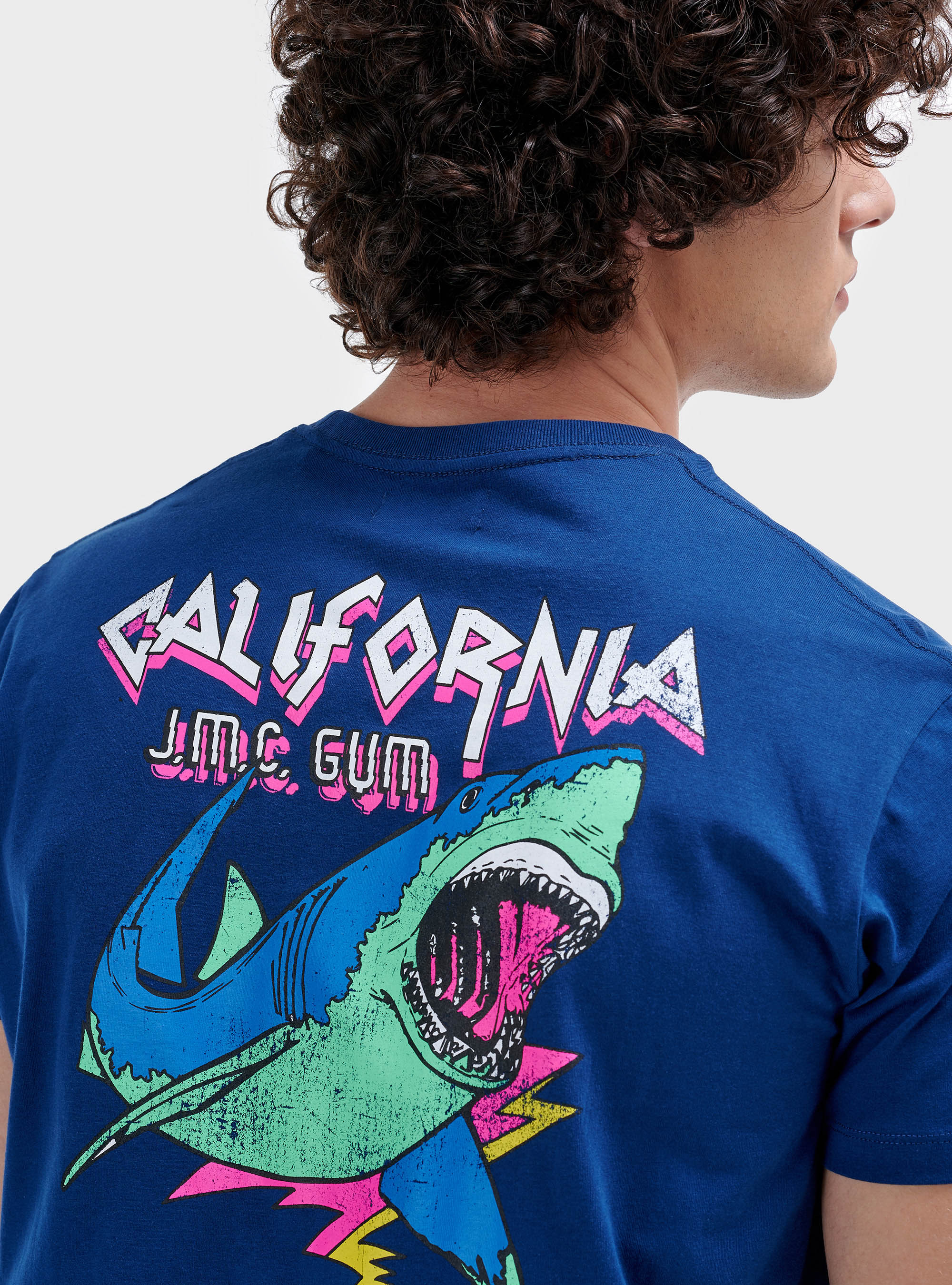 Printed t-shirt, C0214 BLUE