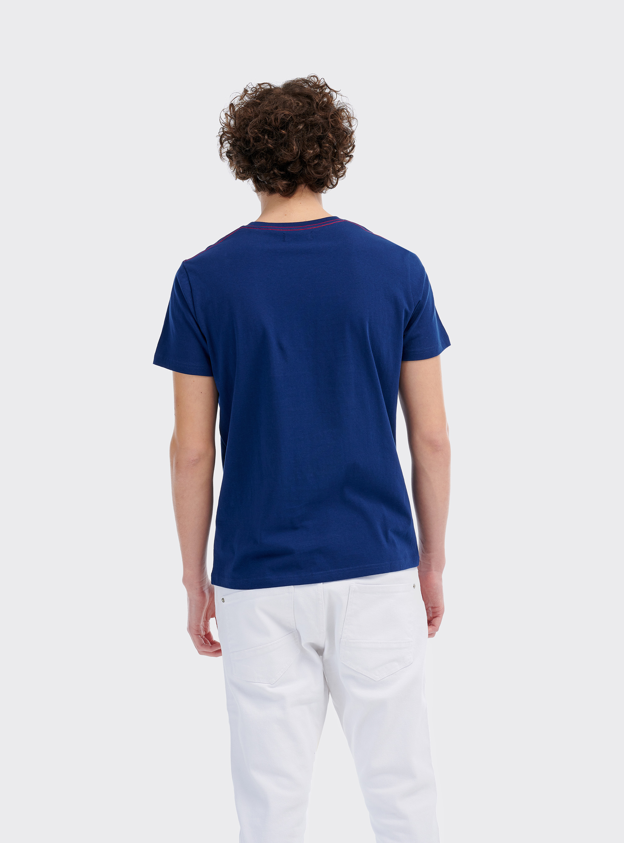 Maglietta con stampa vespa e logo Alcott, C0214 BLUE