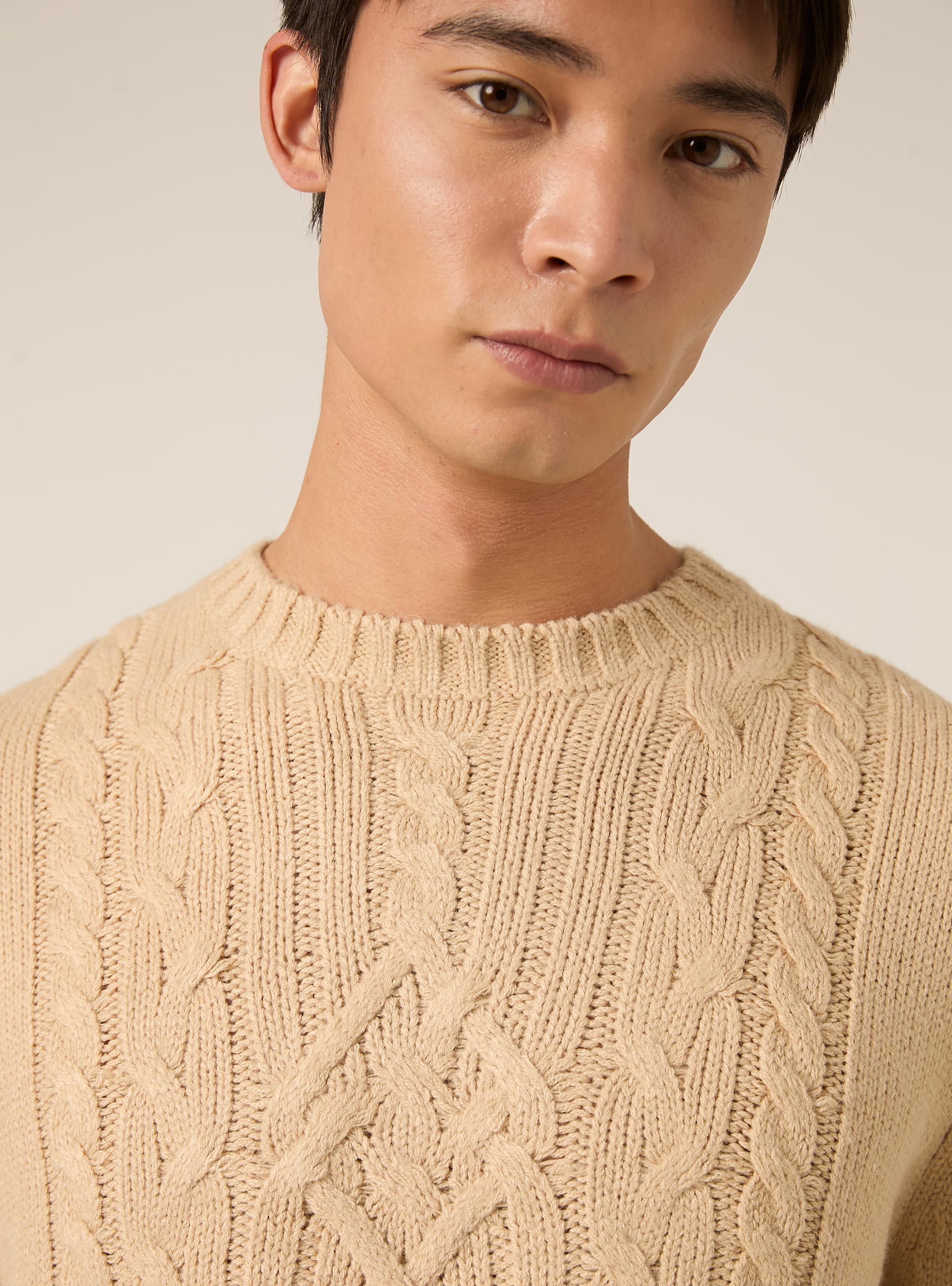Crew neck jumper with cable knit, TB2 TOBACCO MEDIUM
