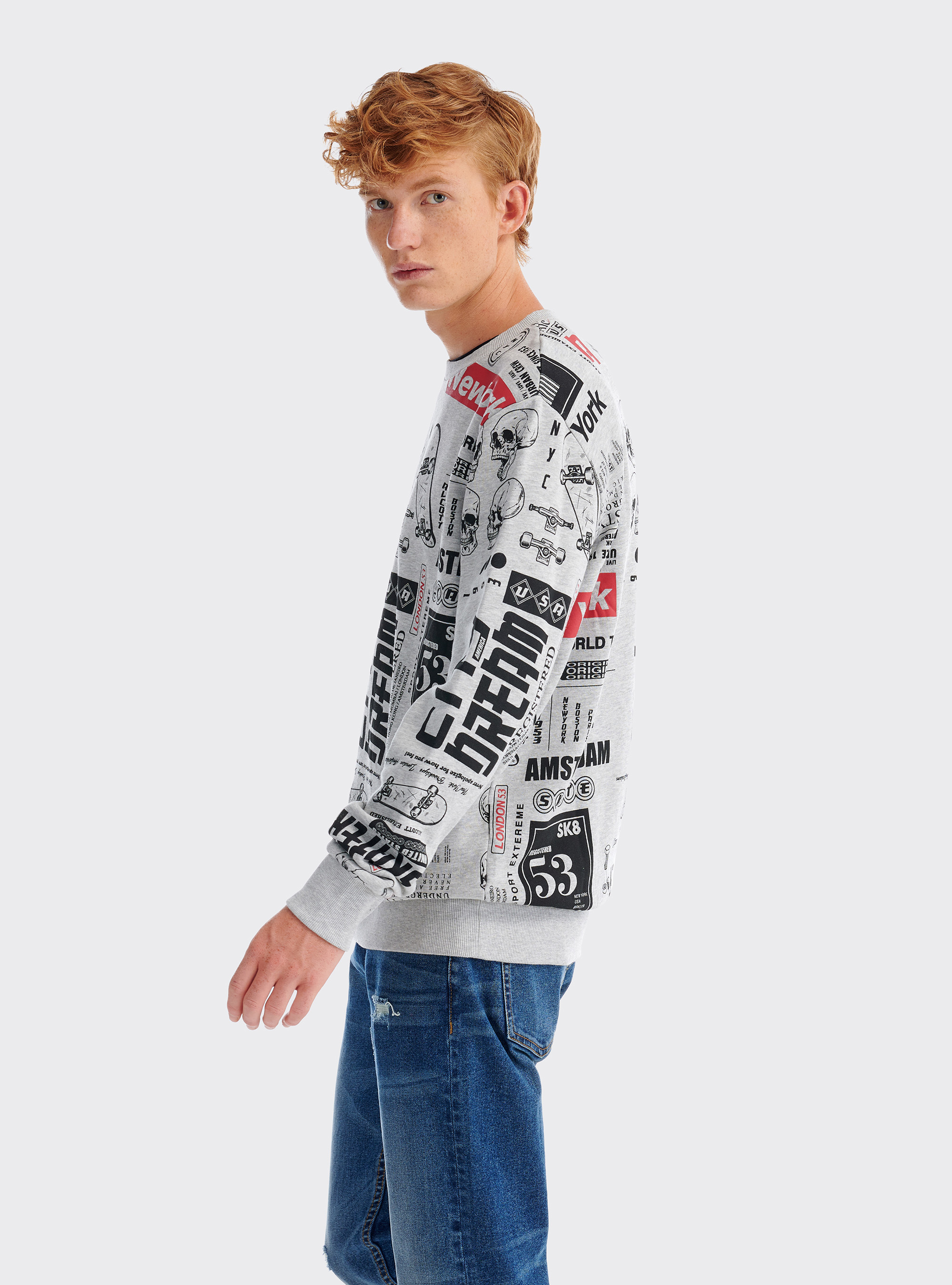 Felpa girocollo stampa all over in cotone sostenibile, GRIGIO CHIARO MELANGE